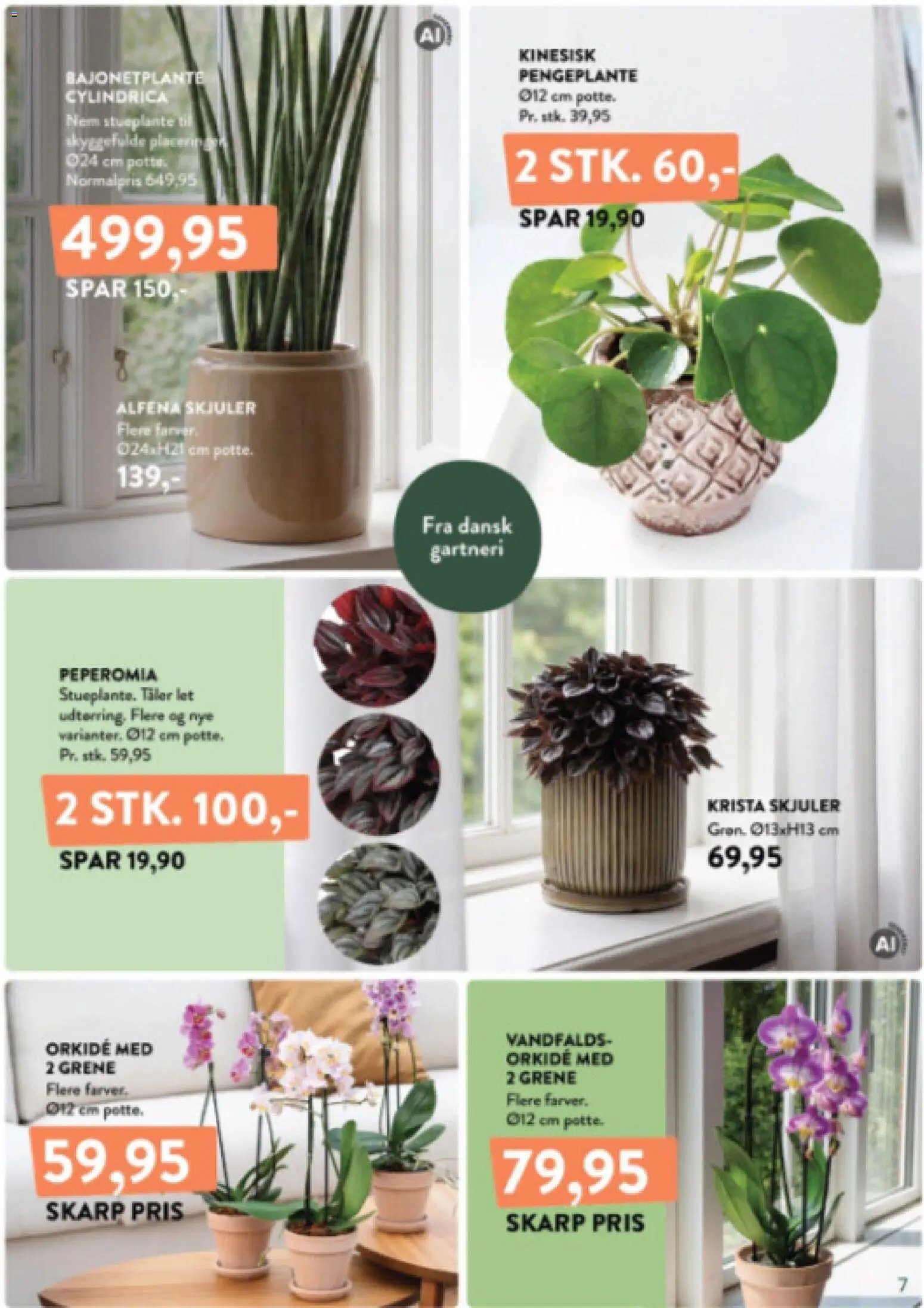 Plantorama tilbudsavis – gyldig fra 14/08/2026 | Side: 7