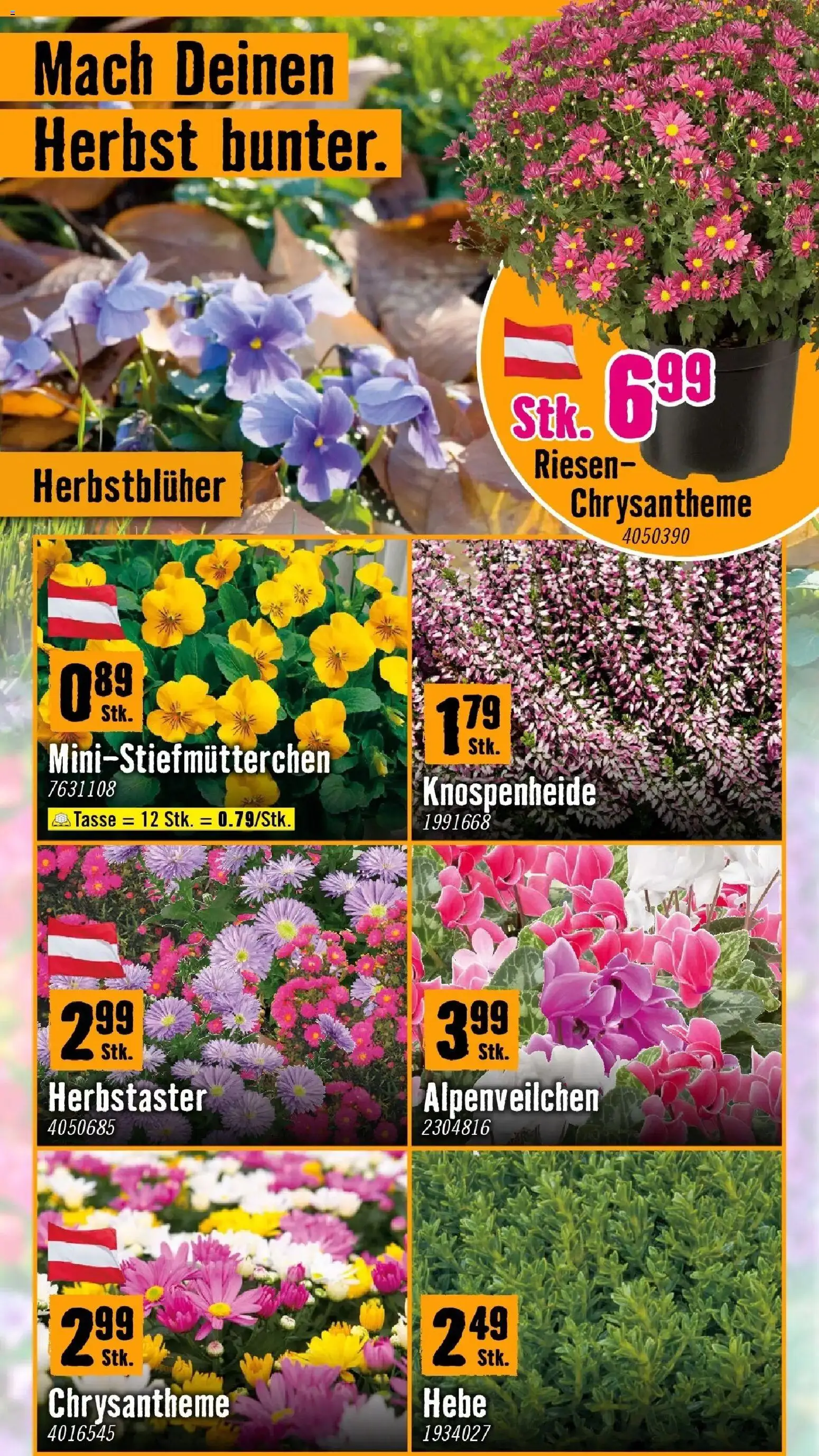 Hornbach - Hornbach: Kürzere Tage wecken Deinen Ehrgeiz. von 07.10.2026 - Aktuelle Angebote | Seite: 2