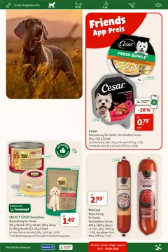 Fressnapf Prospekt ab 24.09.2026 gültig | Seite: 5 | Produkte: Kürbis, Reis, Fleisch