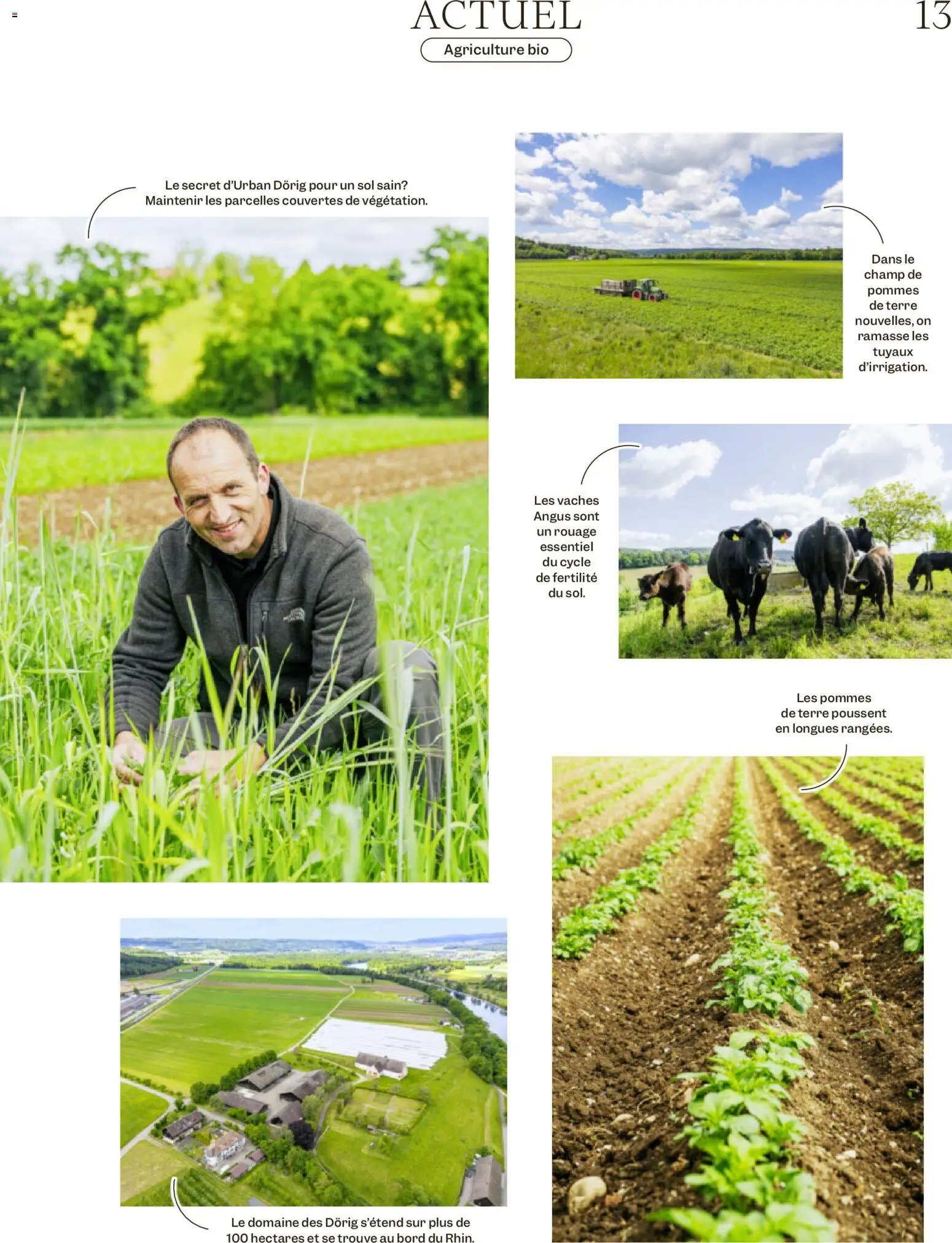 Migros aktionen Magazine FR – gültig ab 24.06.2026 | Seite: 13
