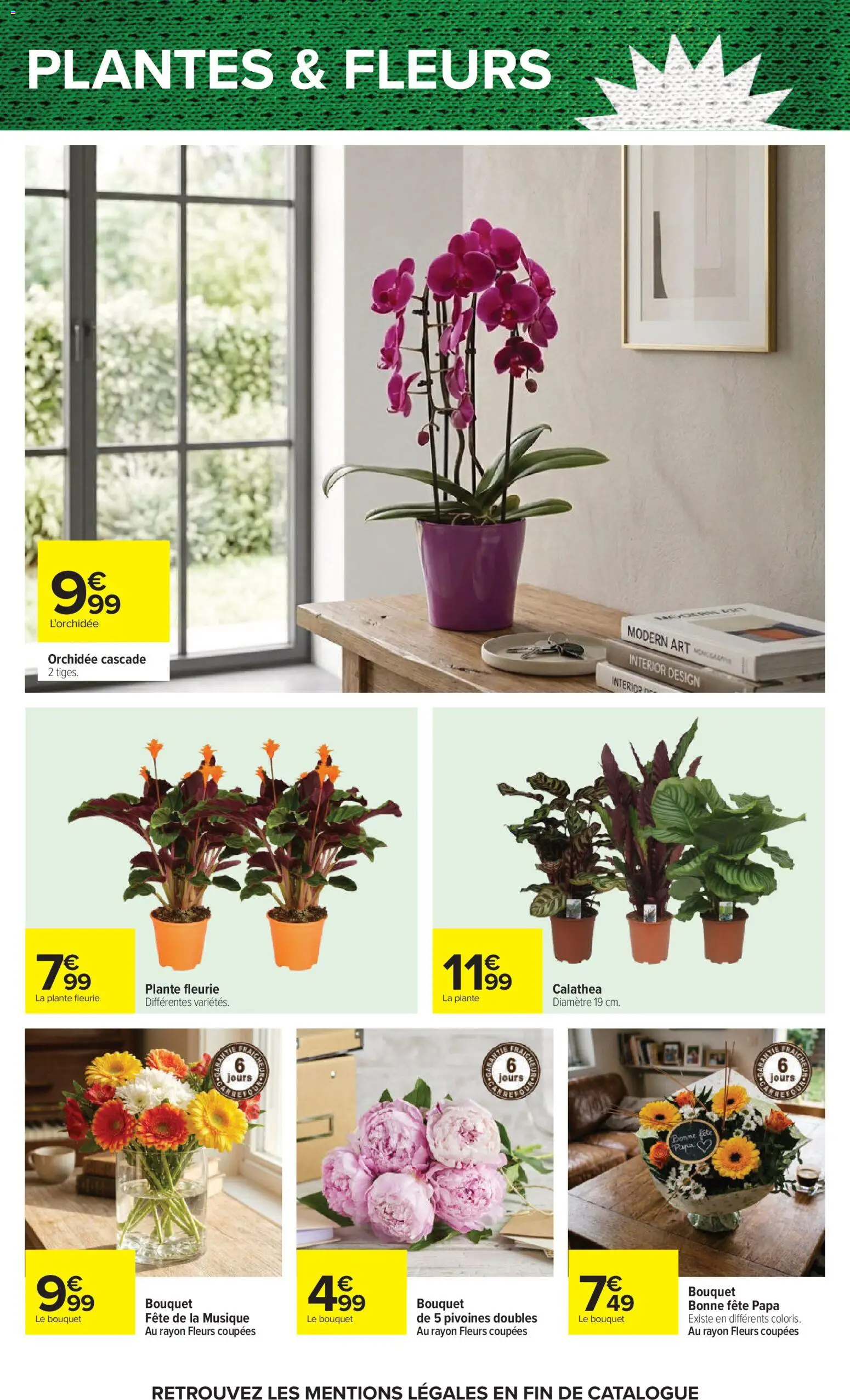 {H1} | Page: 32 | Produits: L'orchidée, Plantes, Orchidée