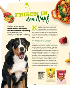 Fressnapf Friends 03/26 ab 01.05.2026 gültig | Seite: 46 | Produkte: Karotte, Kühlschrank