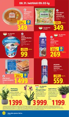 PILOS Gyümölcsdarabos joghurt, Erdei gyümölcs / eper /, őszibarack, 150 g; 1 kg = 660 Ft - amely érvényes a következő dátumtól: 2026.08.27. | Oldal: 66