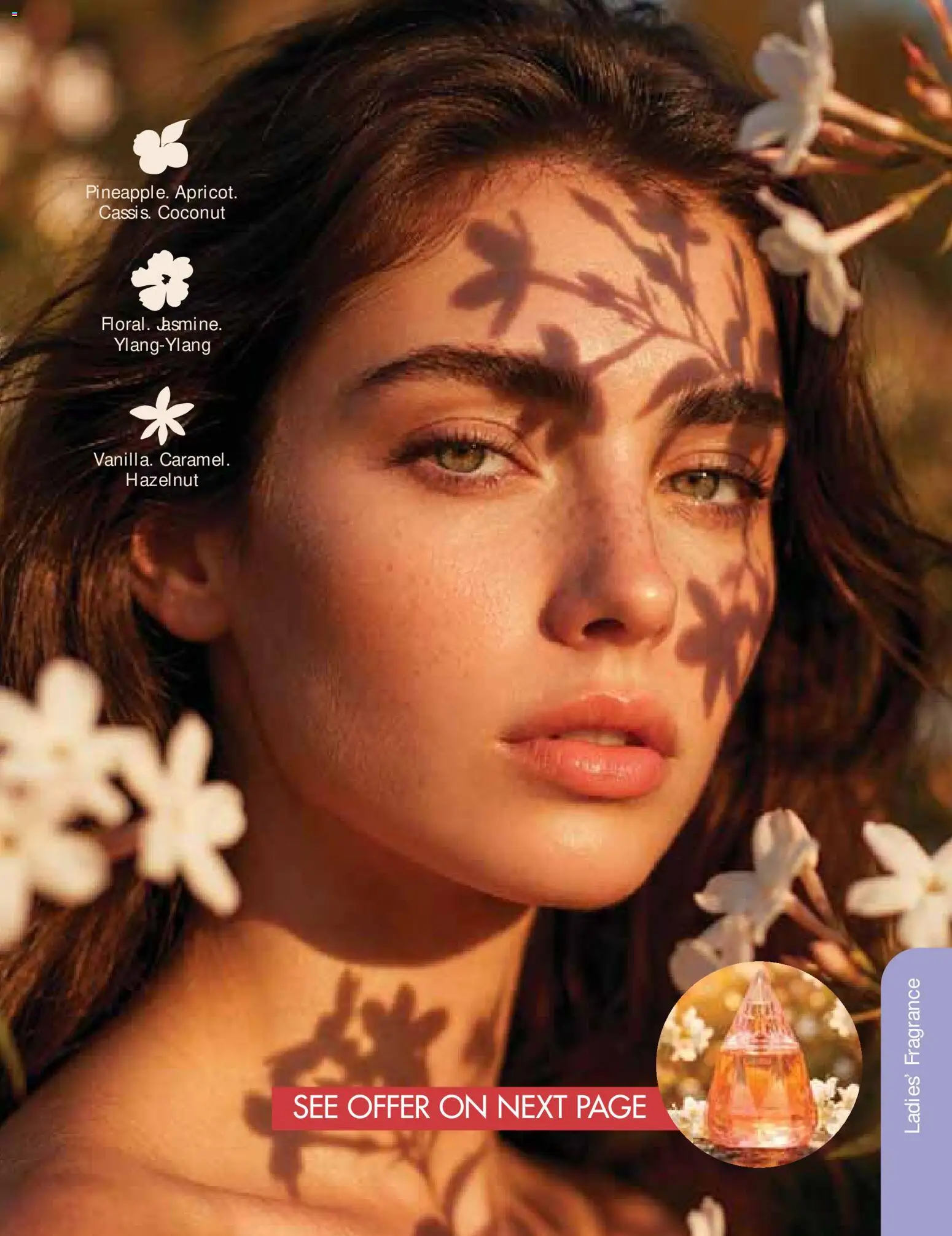 New Justine catalogue – valid from 01/09/2026 | Page: 106
