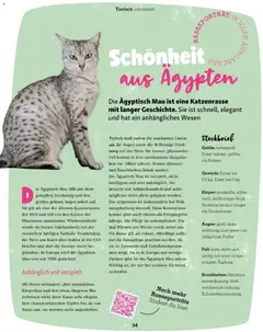 Fressnapf Friends 07,08/26 ab 01.07.2026 gültig | Seite: 34 | Produkte: Gewicht