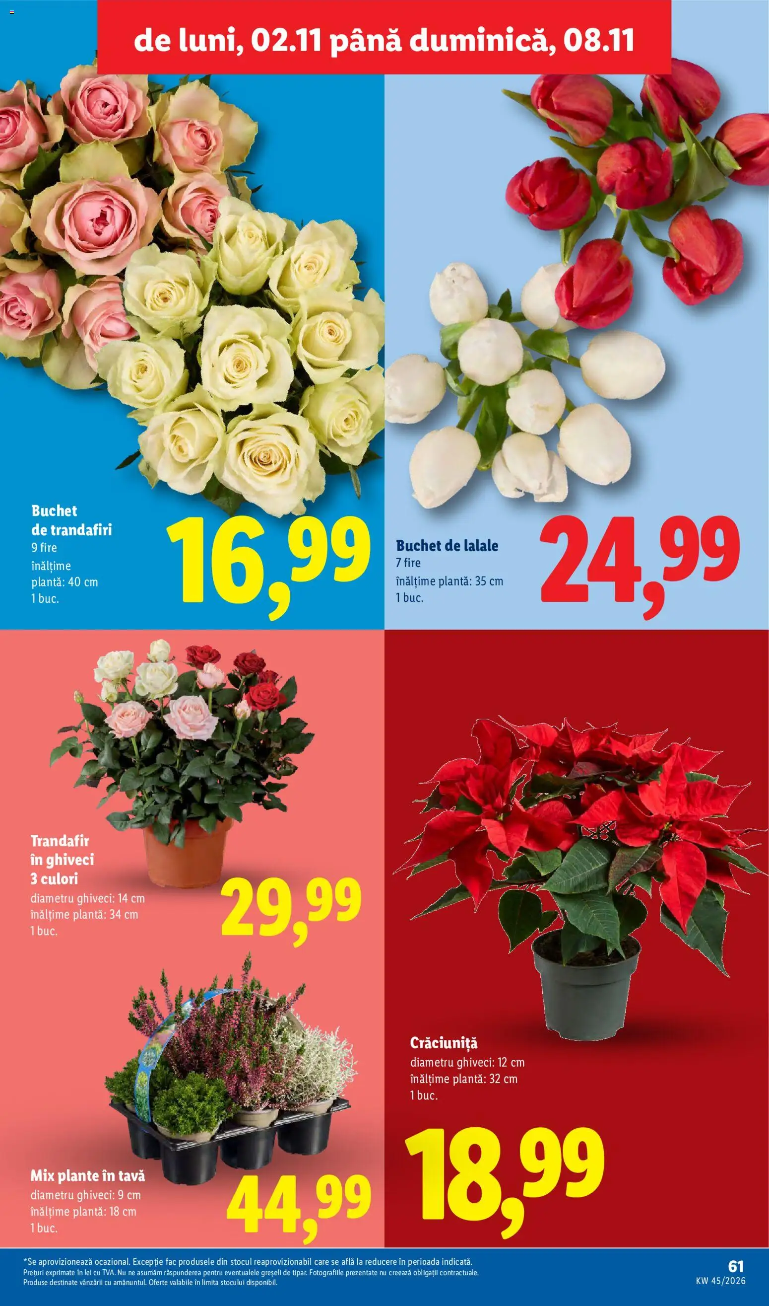 Noul catalog Lidl – valabil de la 02.11.2026 | Pagină: 61
