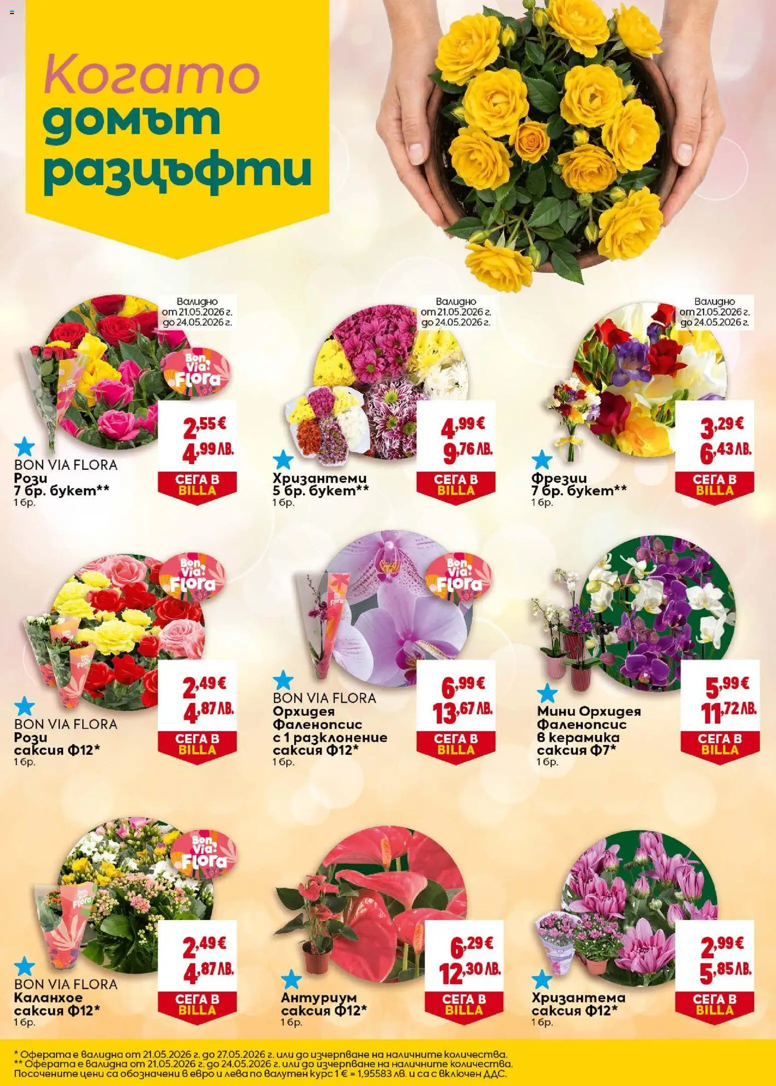 {H1} | Страница: 28 | Продукти: Орхидея, Хризантема, Саксия