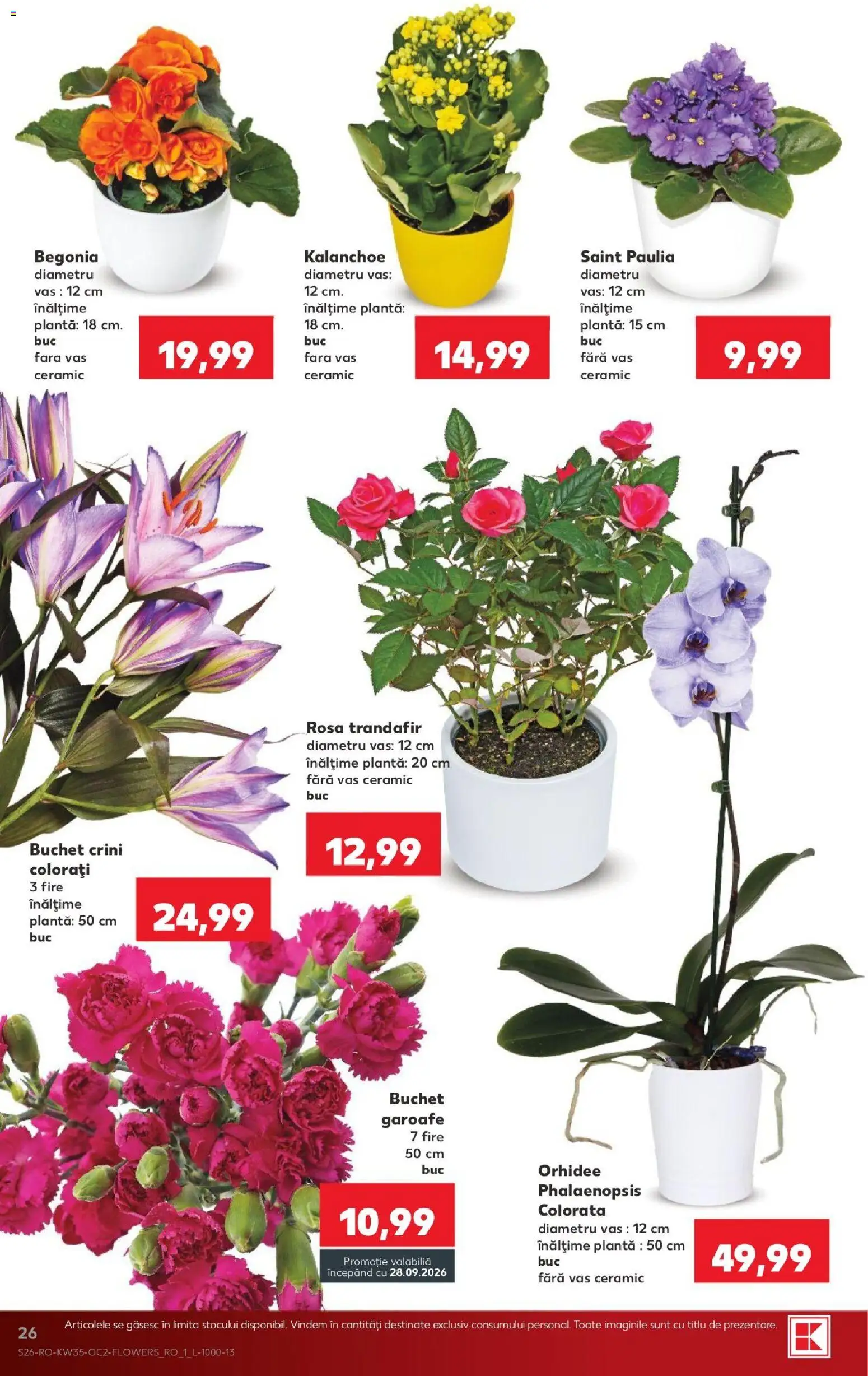 Noul catalog Kaufland – valabil de la 26.08.2026 | Pagină: 26 | Produse: Trandafir, Orhidee