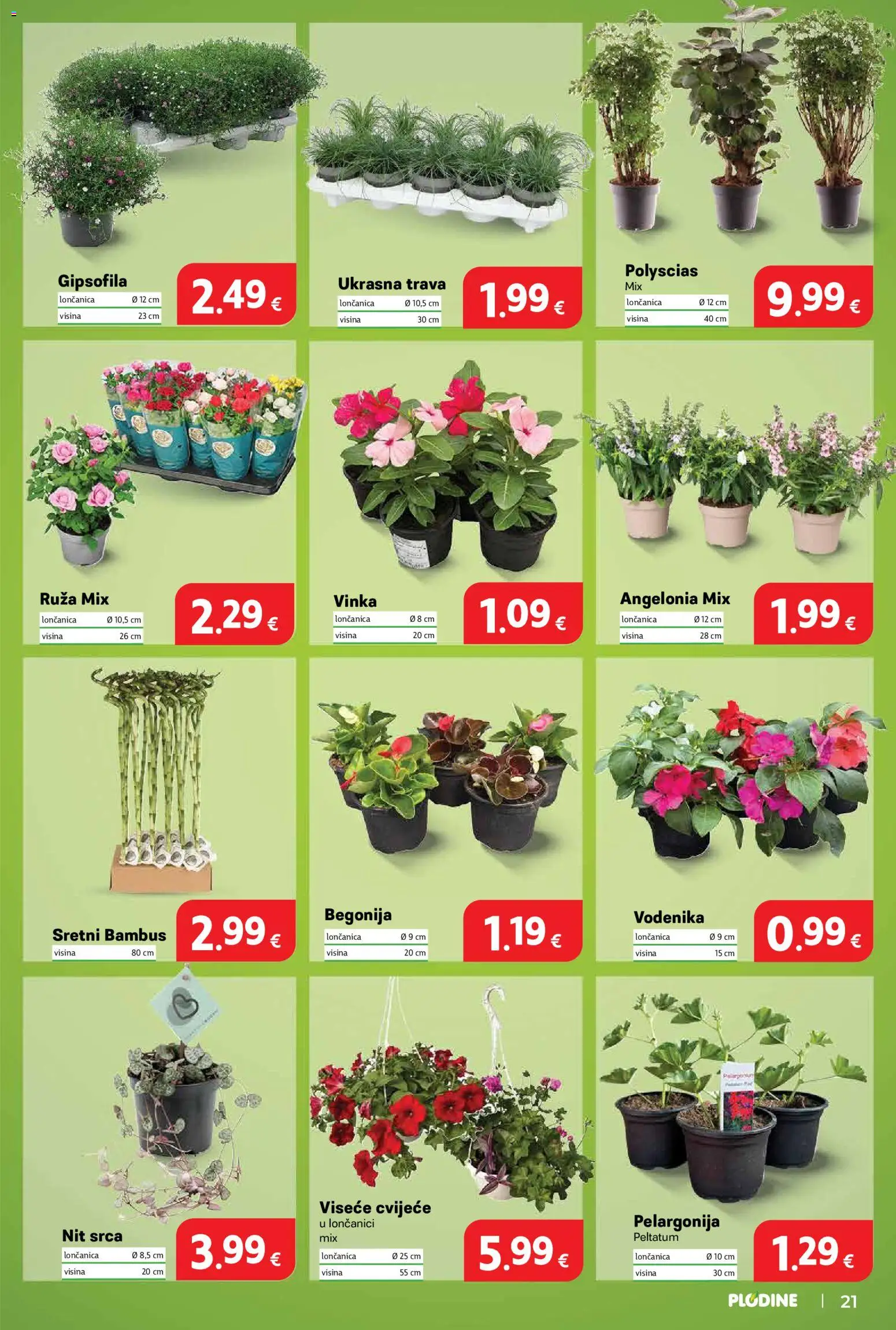 Plodine katalog | vrijedi od 27.05.2026 | Stranica: 21 | Proizvodi: Cvijeće