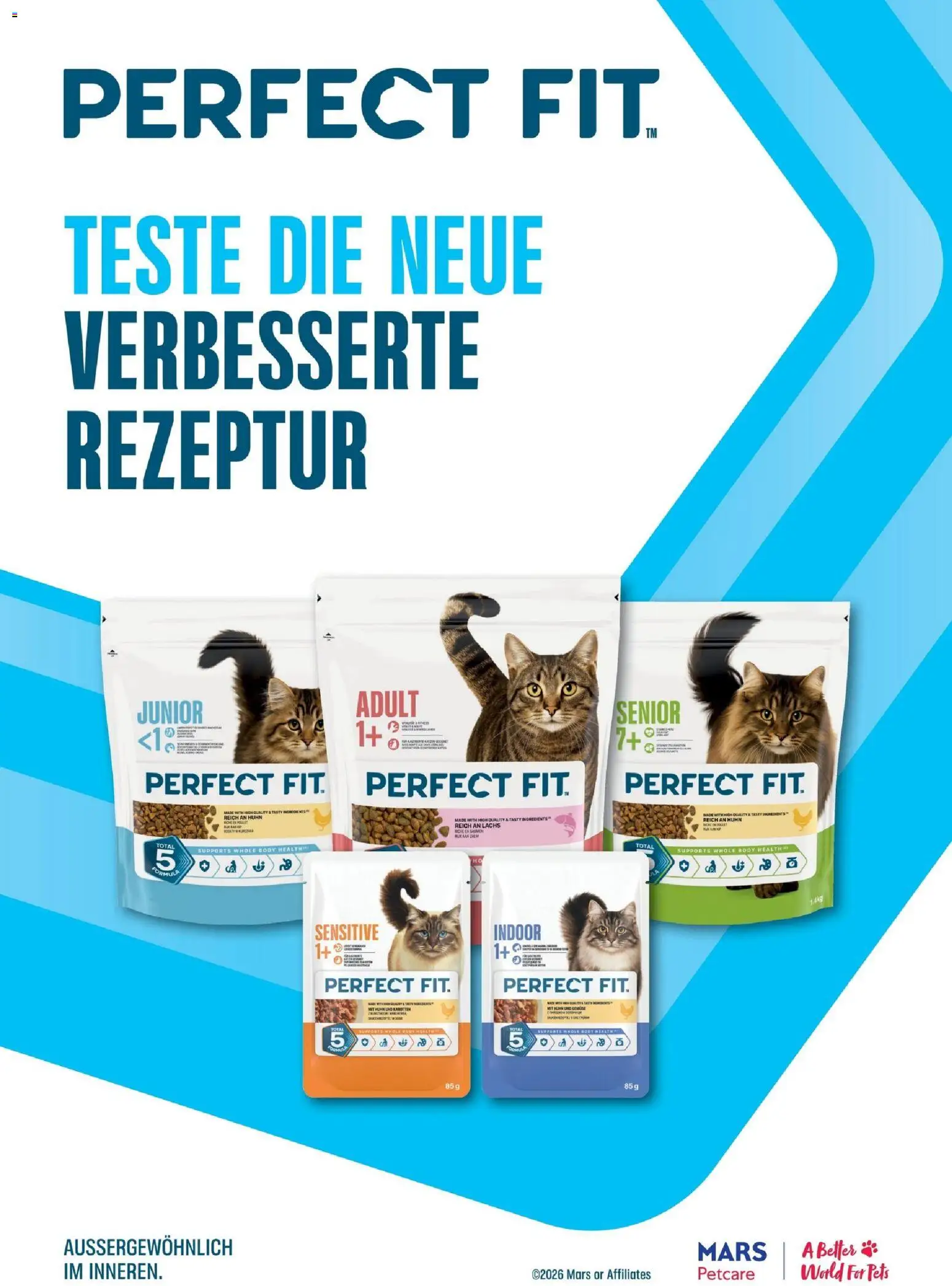 Dehner Prospekt – gültig ab 09.10.2026 | Seite: 79