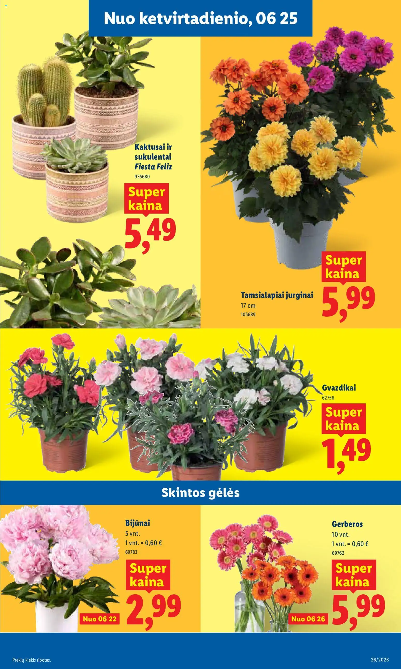LIDL akcijos nuo 2026.06.22 | Puslapis: 9
