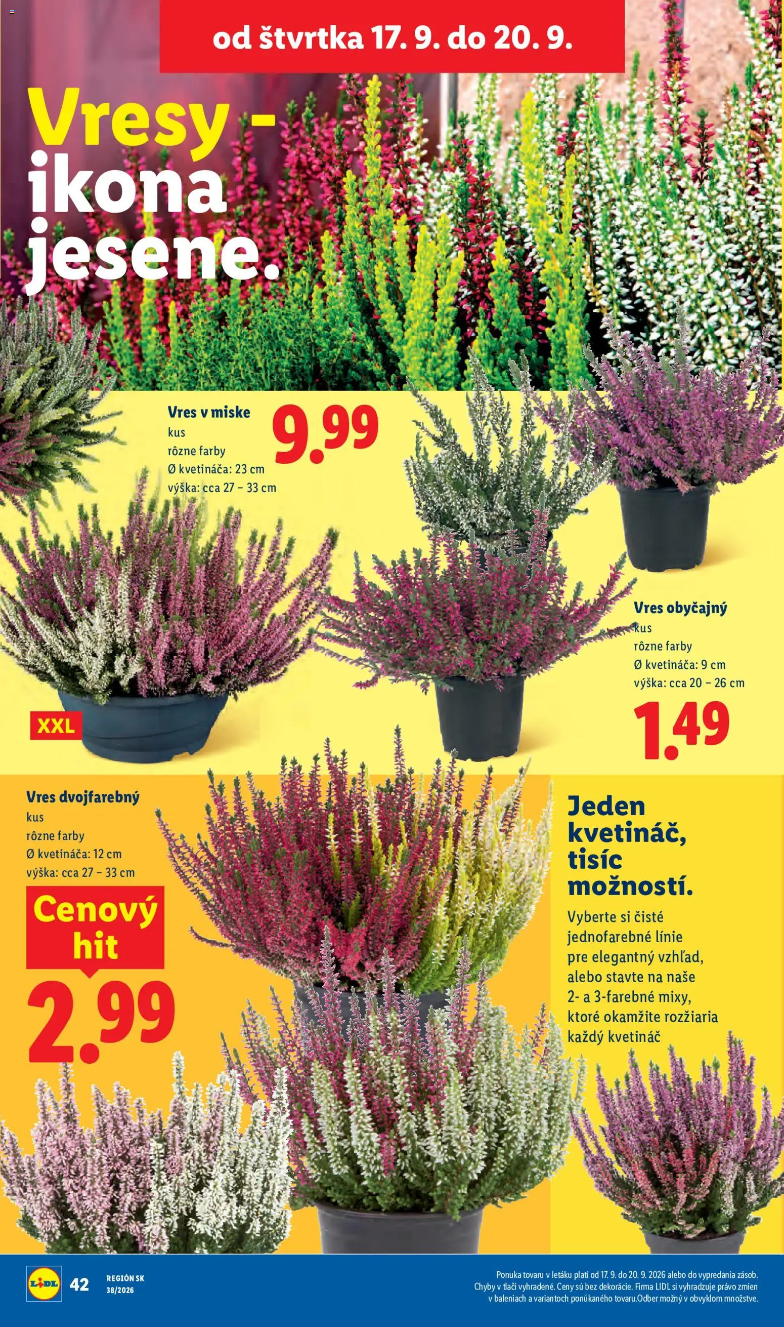 Nové Lidl akcie – leták je platný od 14.09.2026 | Strana: 78 | Produkty: Kvetináč
