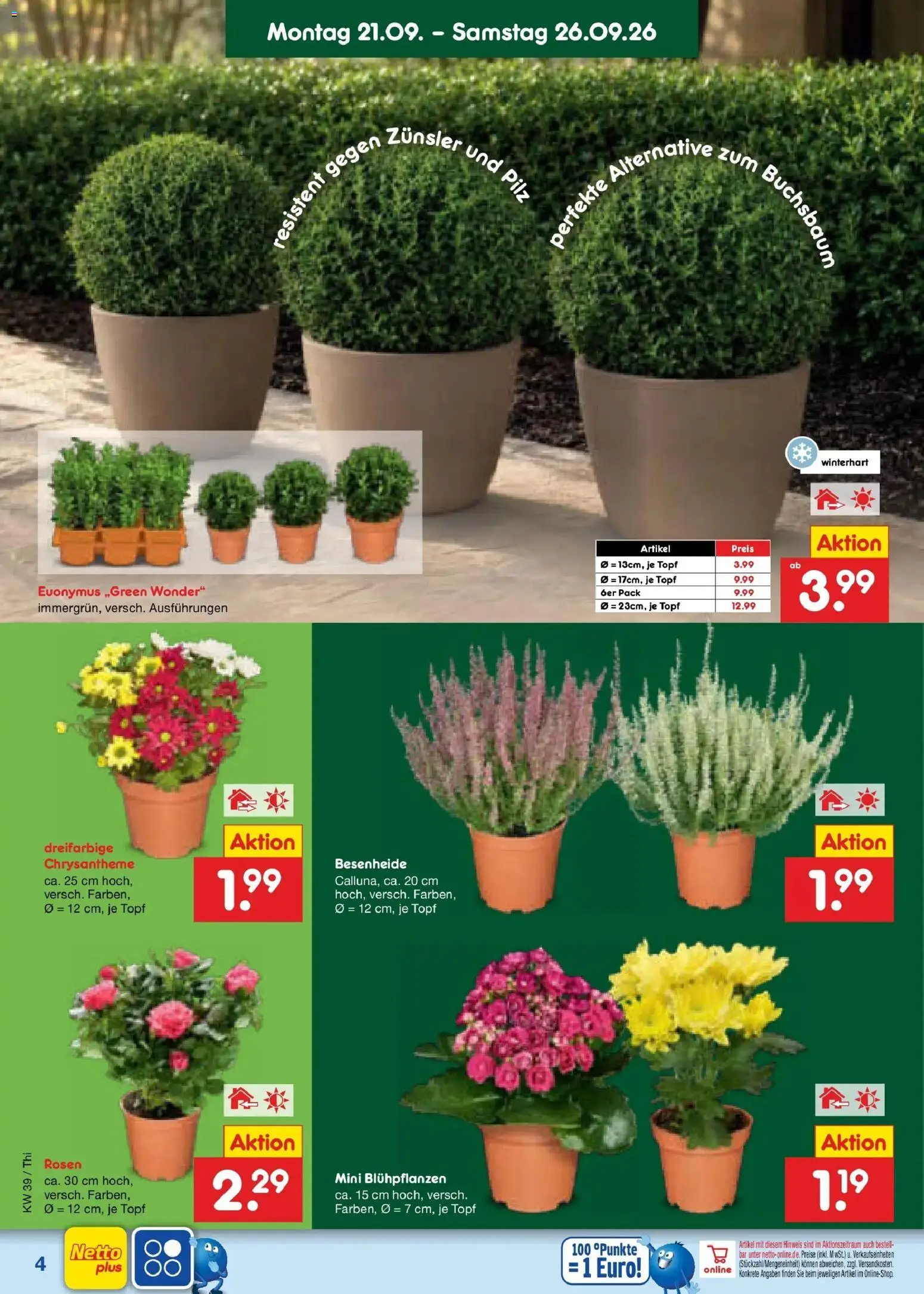Netto Marken-Discount Prospekt Thiendorf – gültig ab 21.09.2026 | Seite: 4