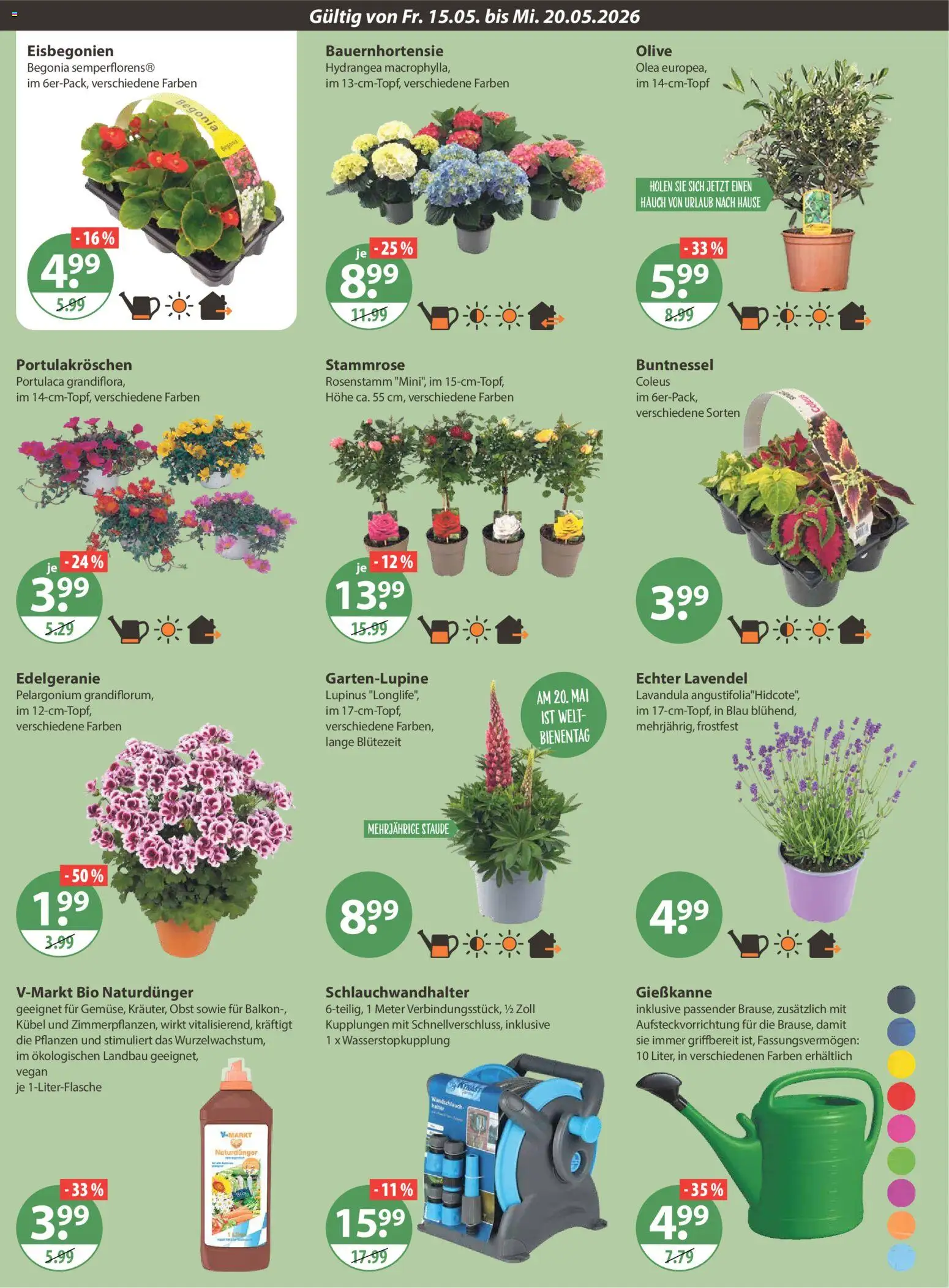 V-Markt Schwaben / Oberbayern – gültig ab 15.05.2026 | Seite: 16 | Produkte: Obst, Lavendel