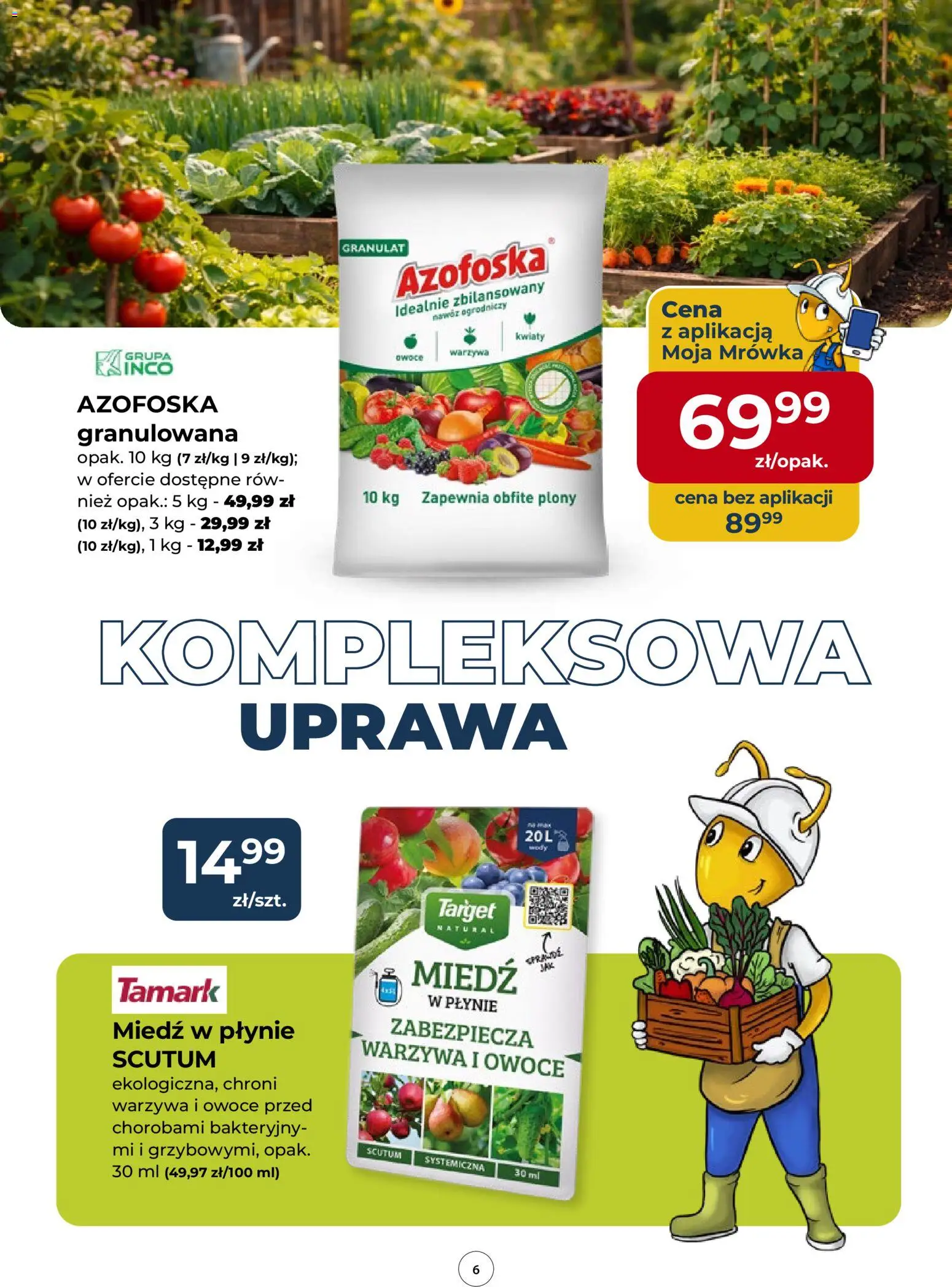 Mrówka gazetka od 12.03.2026 | Strona: 6 | Produkty: Warzywa, Owoce