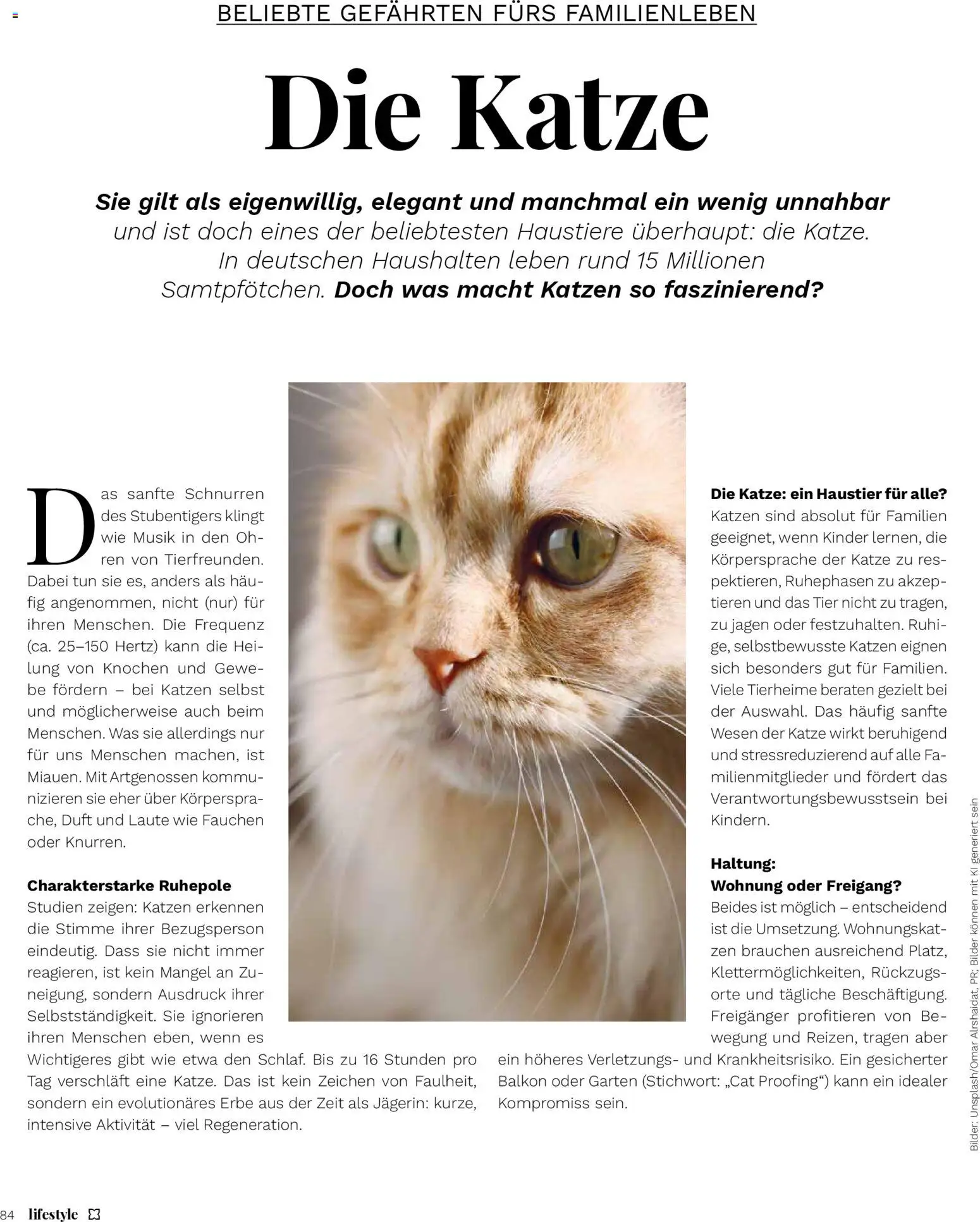 Müller Lifestyle – gültig ab 05.05.2026 | Seite: 84 | Produkte: Duft, Bilder