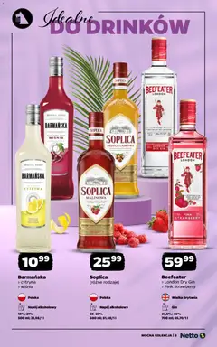Pogląd oferty "Netto gazetka - Alkohole mocne" - ważna od 22.06.2026 | Strona: 3 | Produkty: Cytryna, Beefeater, Gin