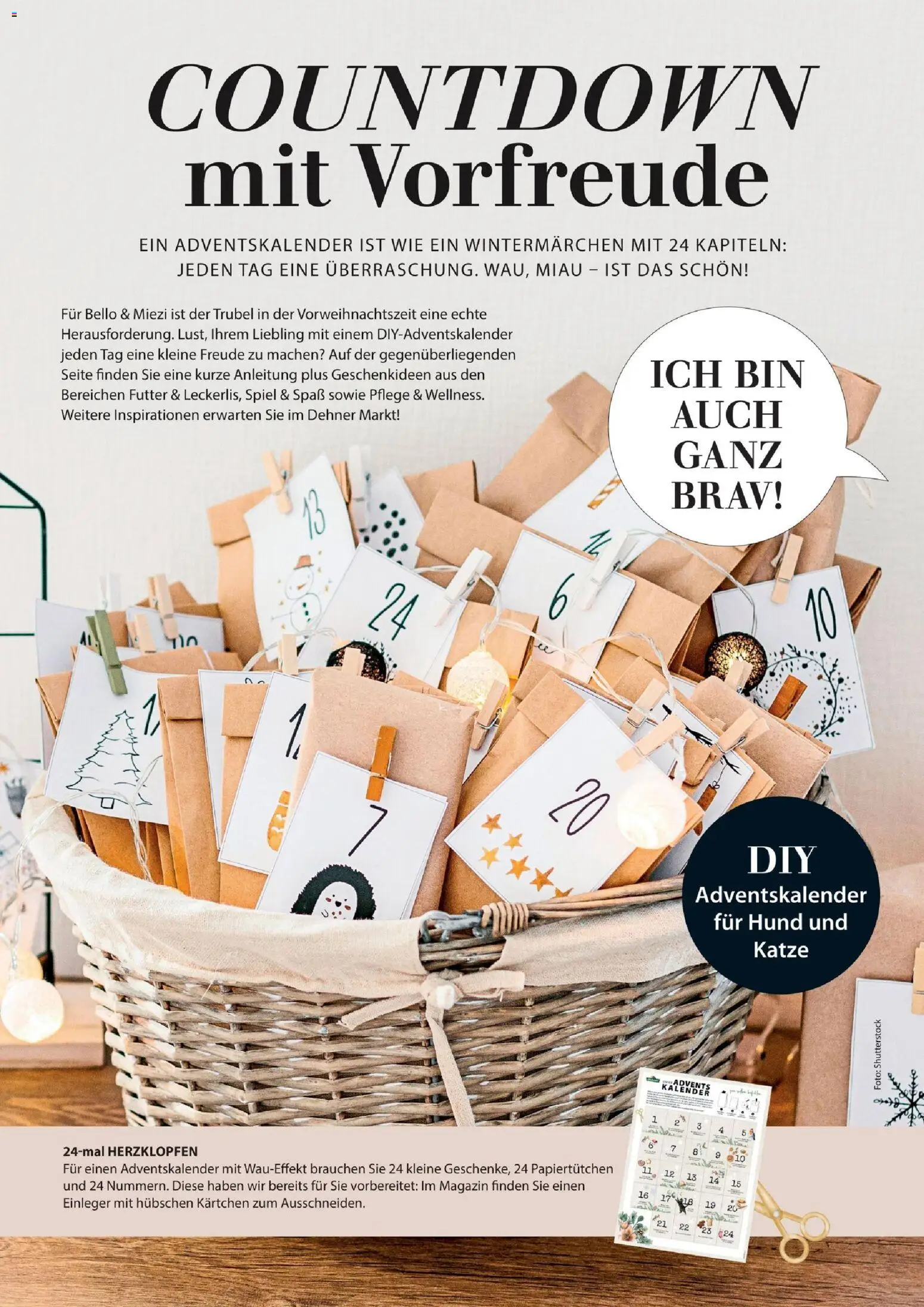 Dehner Magazine HERBST/WINTER 2026 gültig ab 09.10.2026 | Seite: 82 | Produkte: Magazin, Spiel