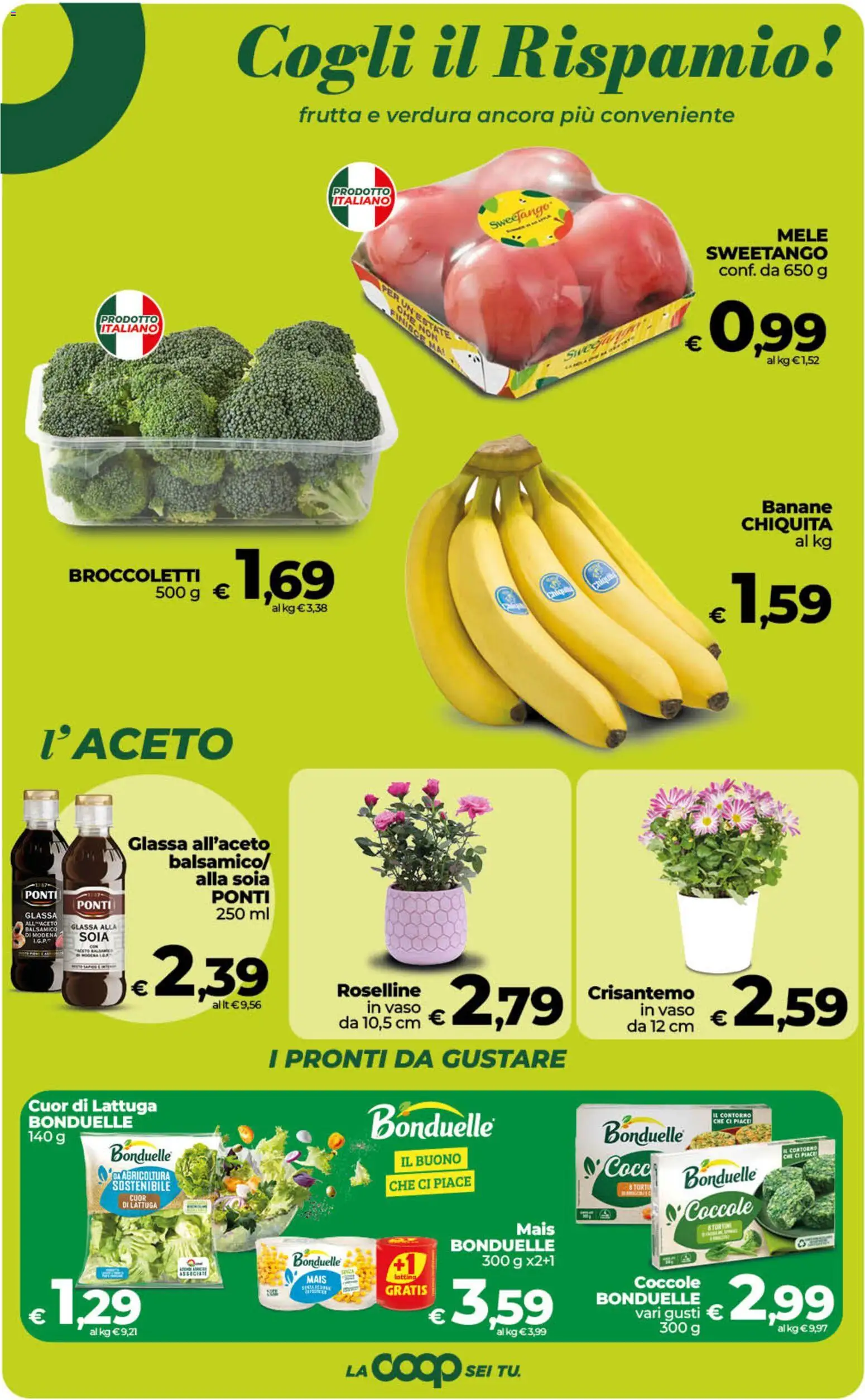 Volantino COOP del 23/10/2026 | Pagina: 13 | Prodotti: Aceto, Mais, Lattuga, Vaso