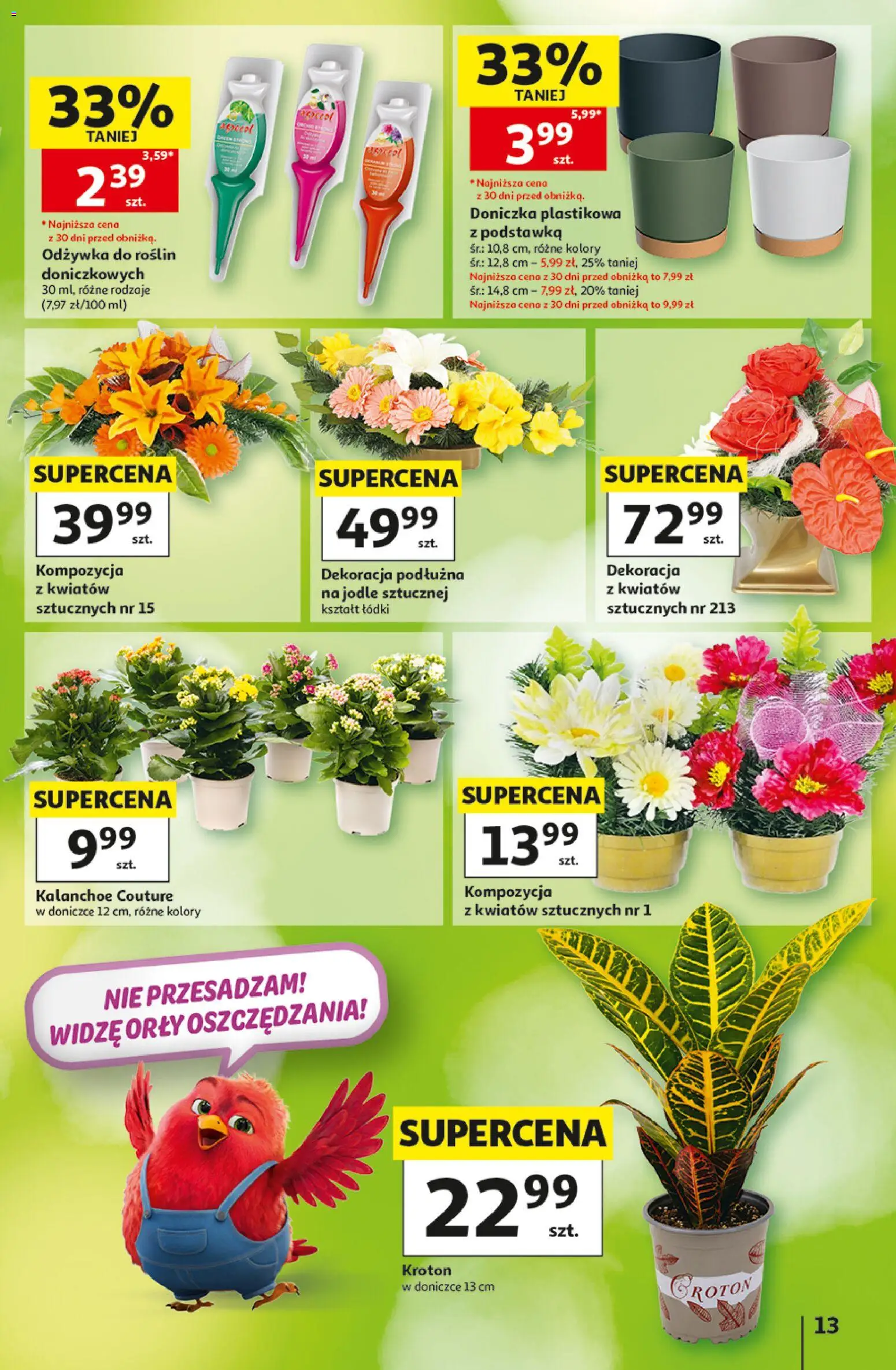 Auchan gazetka - 30 Lat Hipermarket od 10.09.2026 | Strona: 13 | Produkty: Doniczka, Kalanchoe, Odżywka