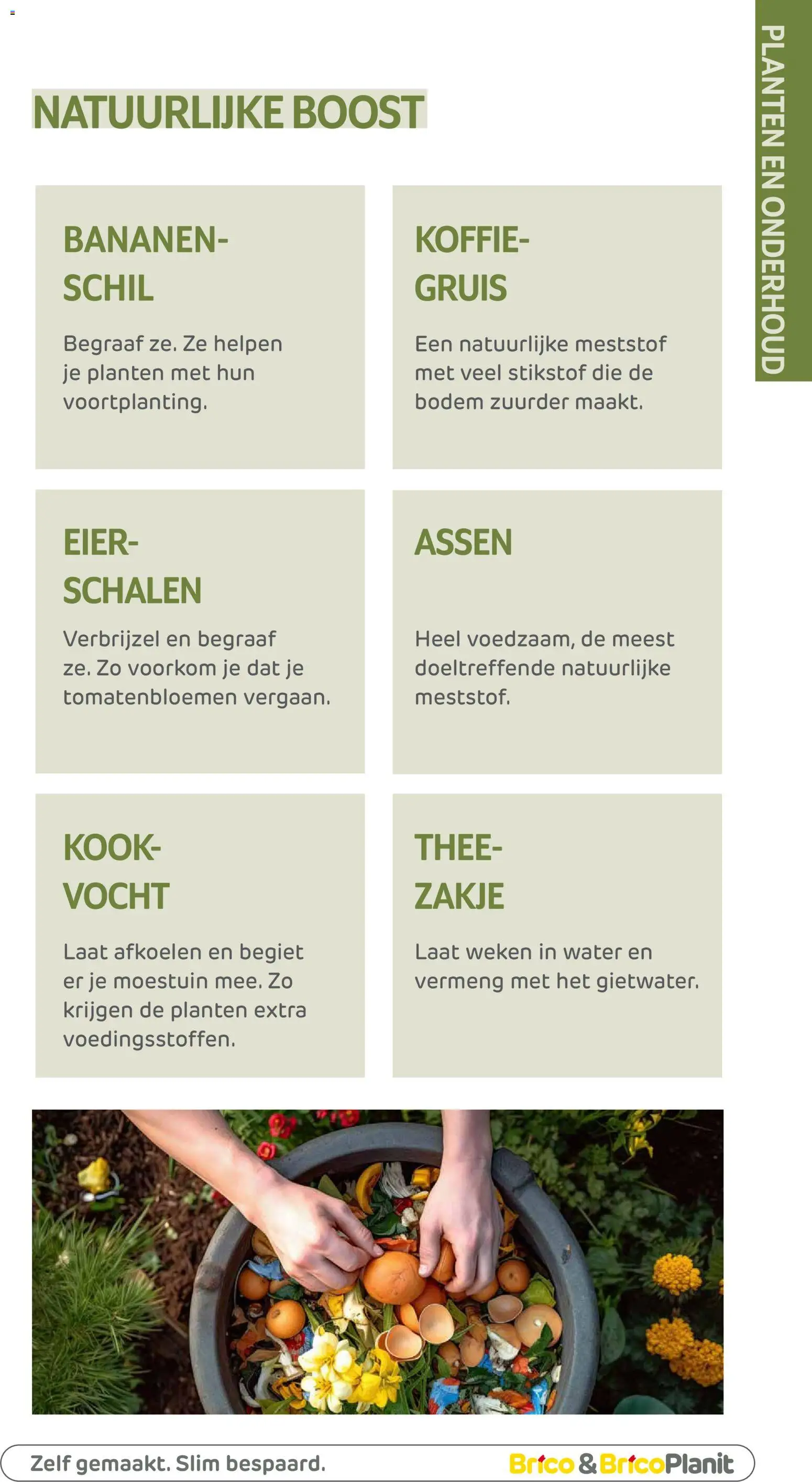 {H1} | Pagina: 146 | Producten: Bananen, Thee, Boost, Koffie