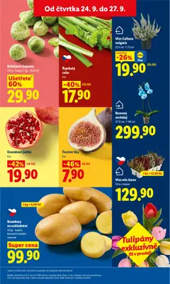 Náhled letáku Růžičková kapusta, 750 g - balení, 1 kg = 39,87 Kč od 24.09.2026 | Strana: 15