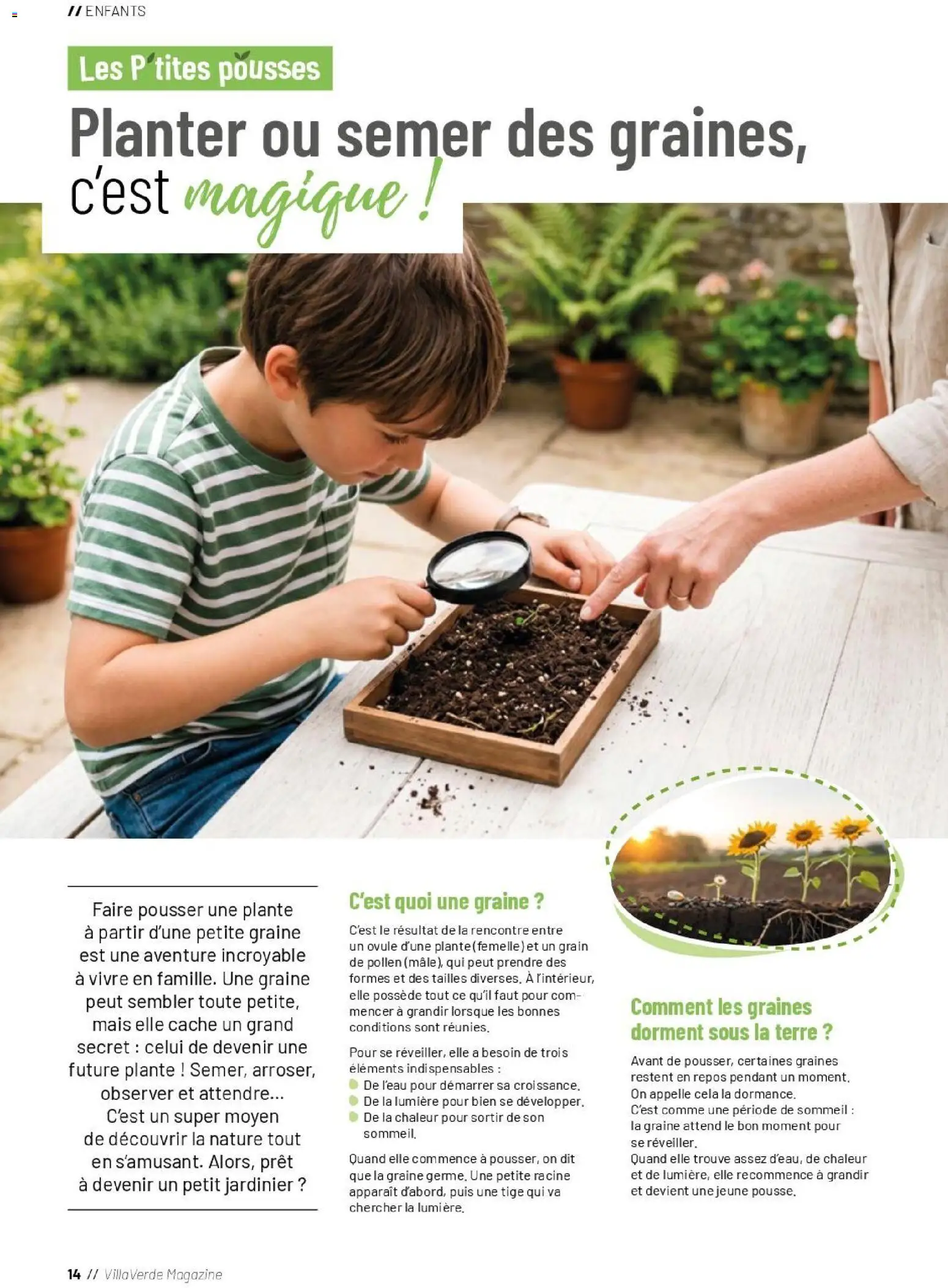 {H1} | Page: 14 | Produits: Graines, Mais, Magazine