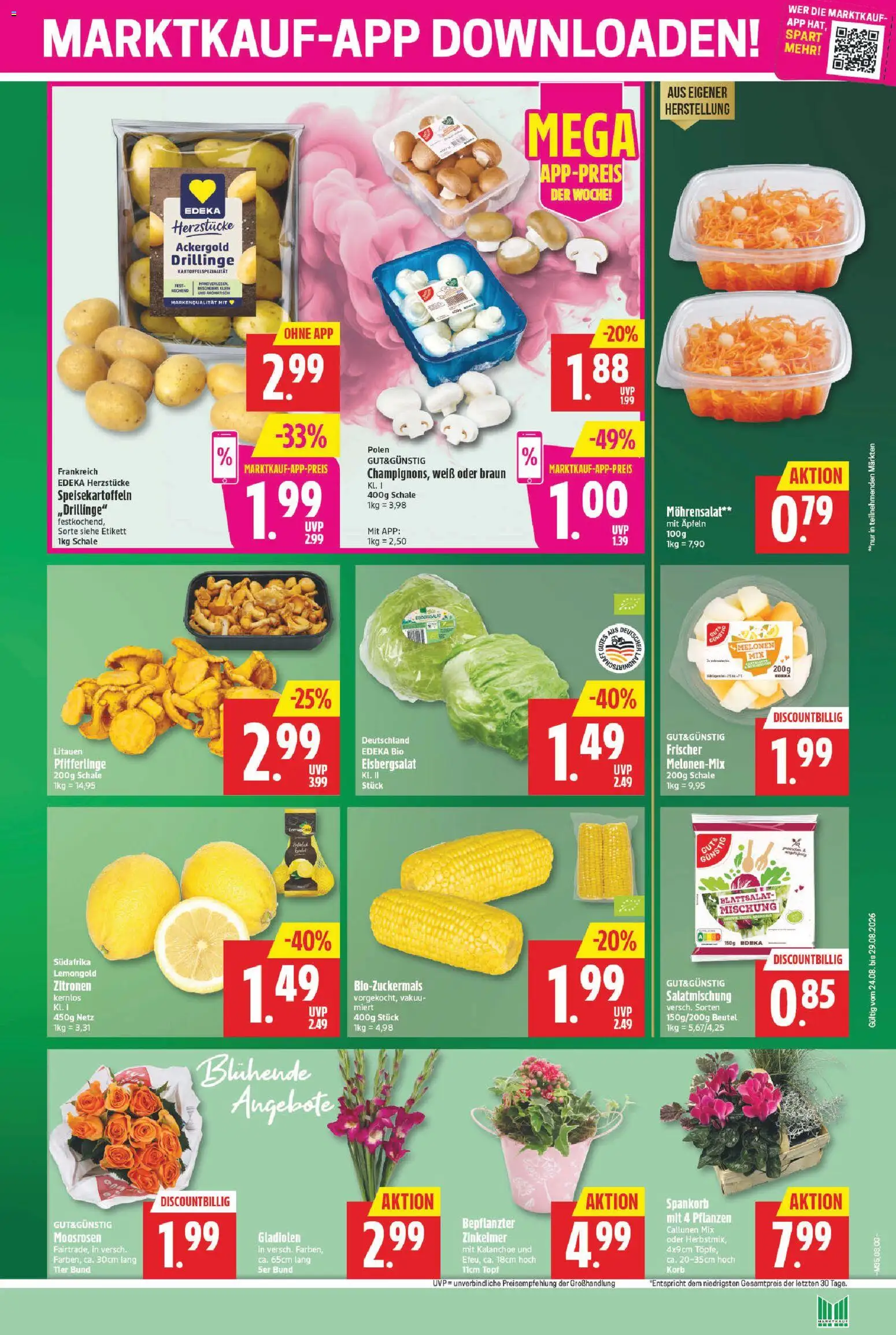 Marktkauf Prospekt – gültig ab 24.08.2026 | Seite: 3 | Produkte: Korb, Eisbergsalat, Pfifferlinge, Zitronen