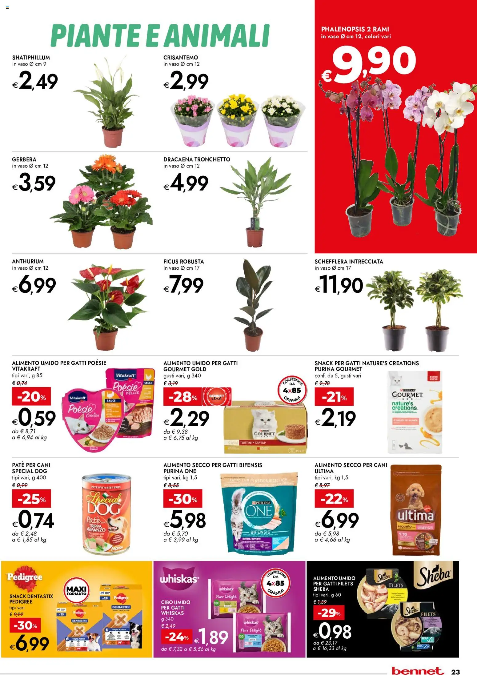 Volantino bennet del 13/08/2026 | Pagina: 23 | Prodotti: Gerbera, Digestivo, Paté per cani, Vaso