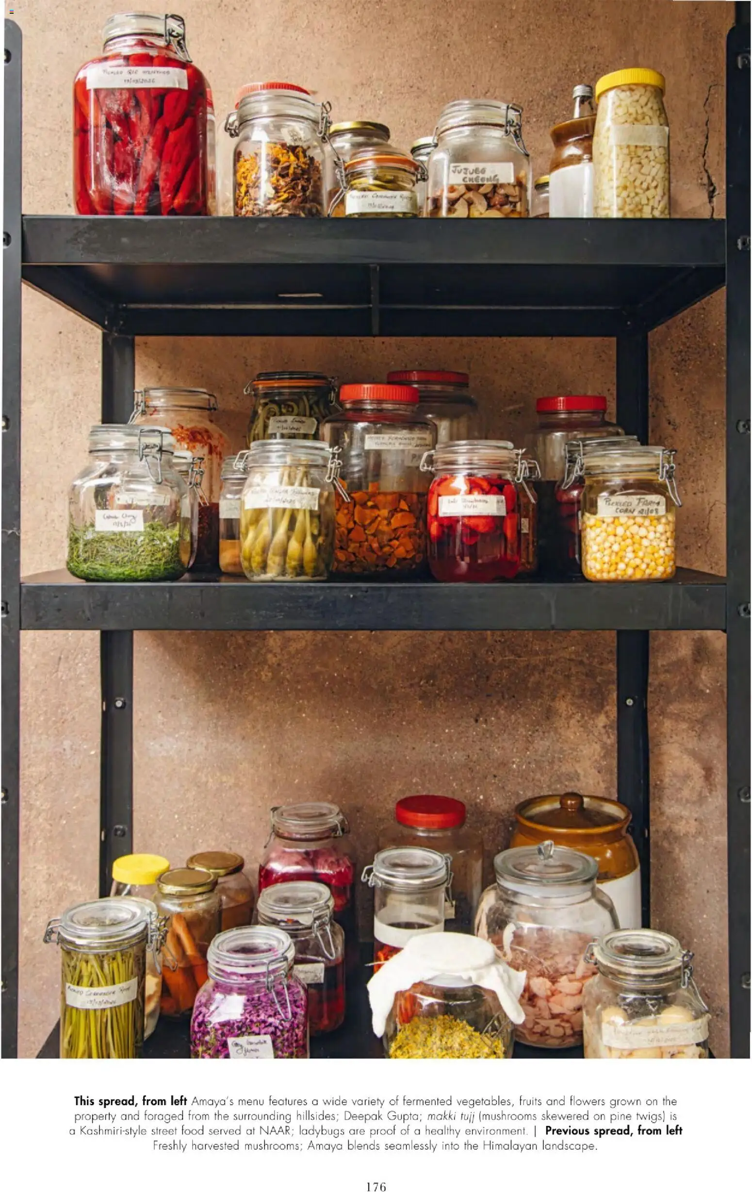 {H1} | Page: 178 | Products: Mushrooms