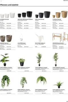 Ikea Büroeinrichtung ab 01.04.2026 gültig | Seite: 65 | Produkte: Blumentopf