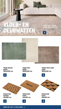 GAMMA - Vloeren - Voorbeeld van een folder van GAMMA, geldig van 01/07/2026 | Pagina: 34 | Producten: Tapijt