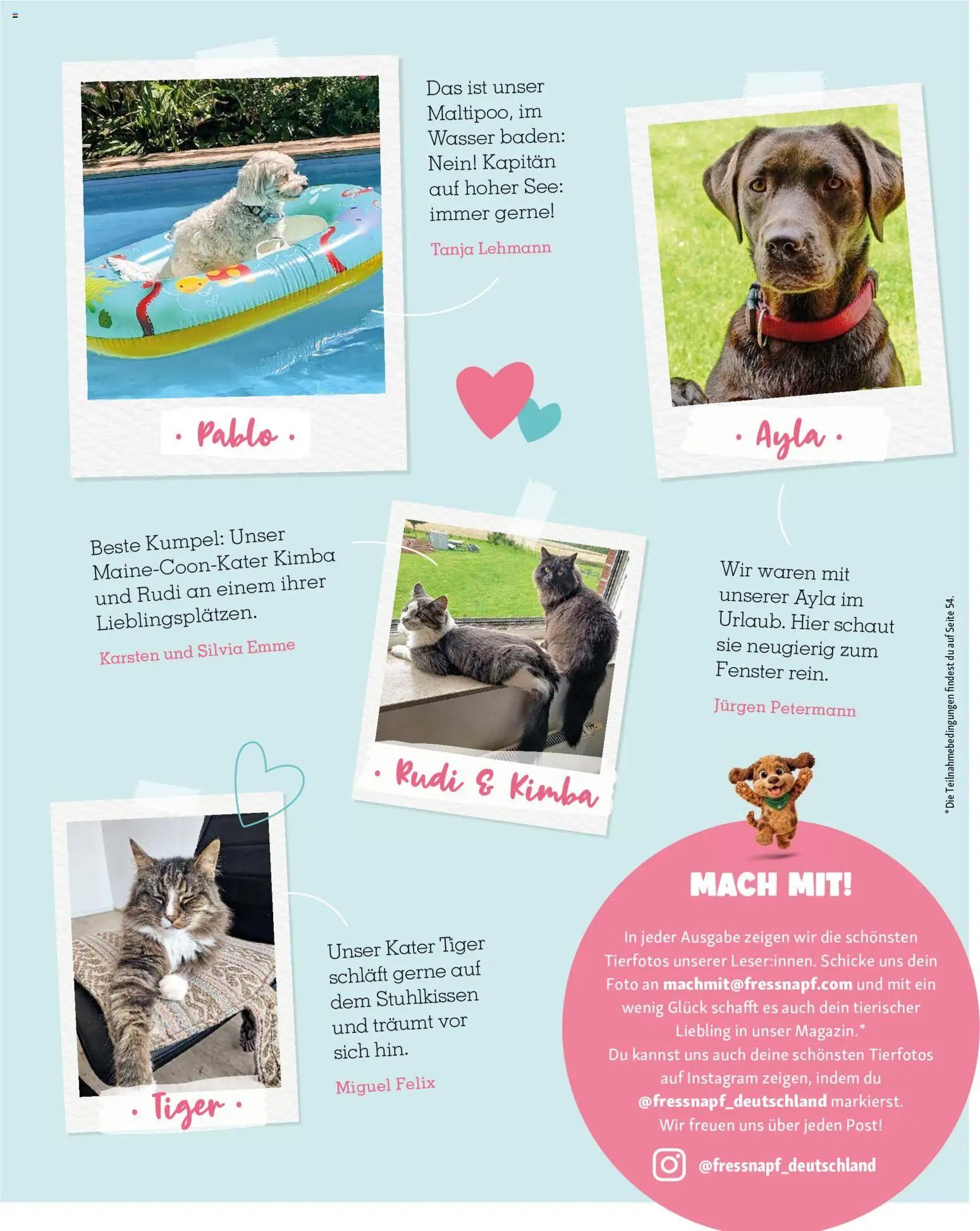 Fressnapf Friends Magazin – gültig ab 01.07.2026 | Seite: 53 | Produkte: Wasser