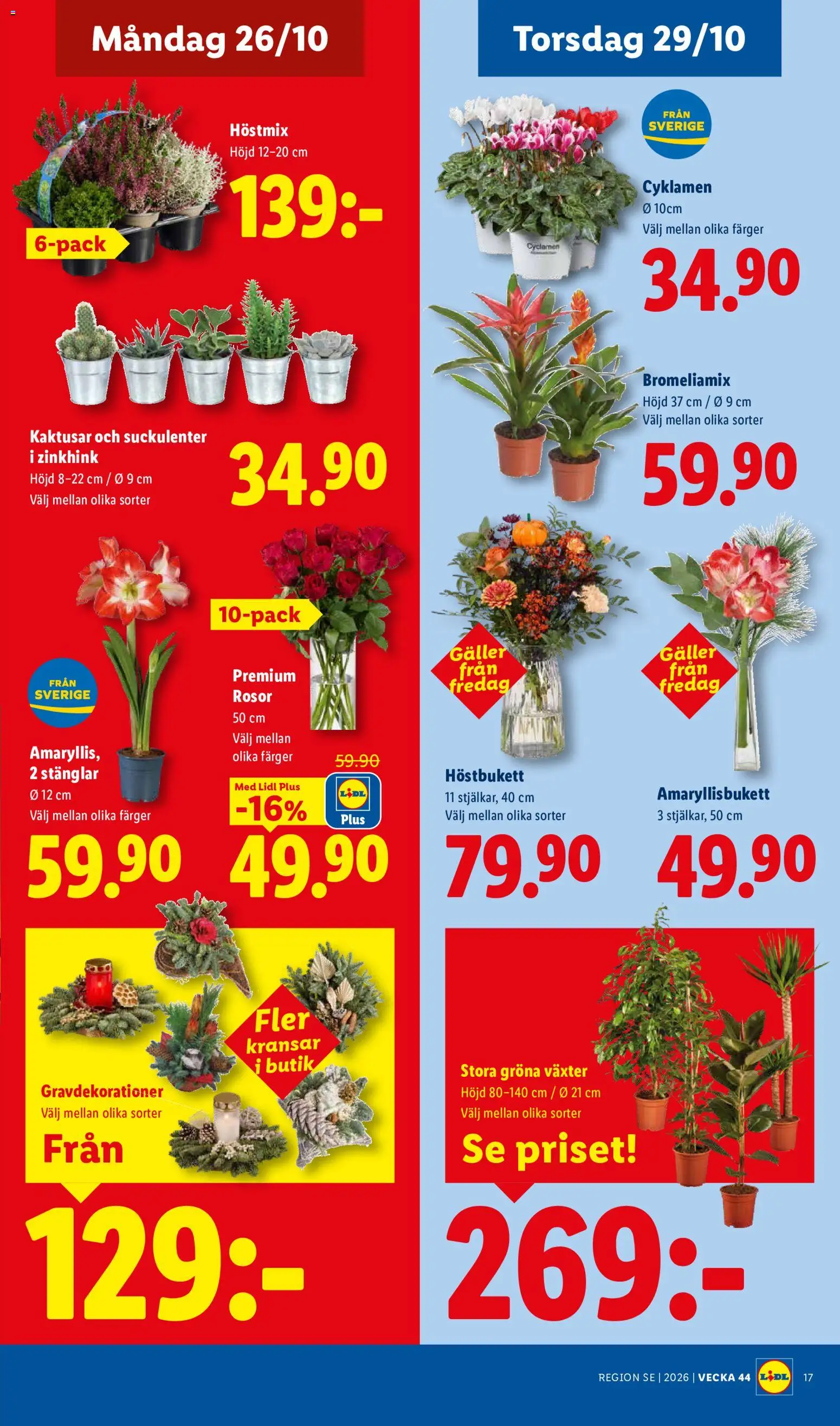 Lidl reklamblad aktuell från 26/10/2026 | Sida: 21