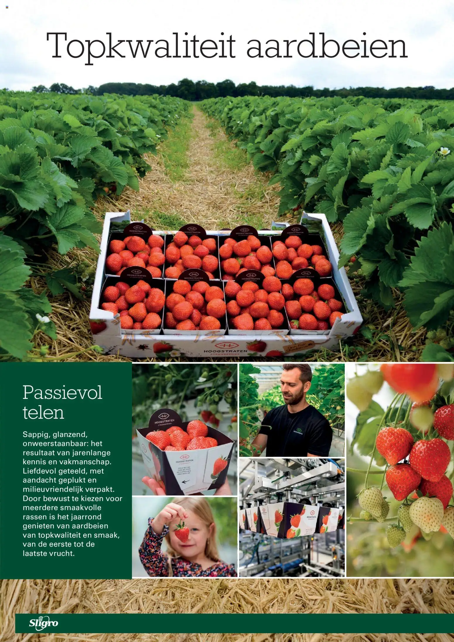 {H1} | Pagina: 64 | Producten: Aardbeien