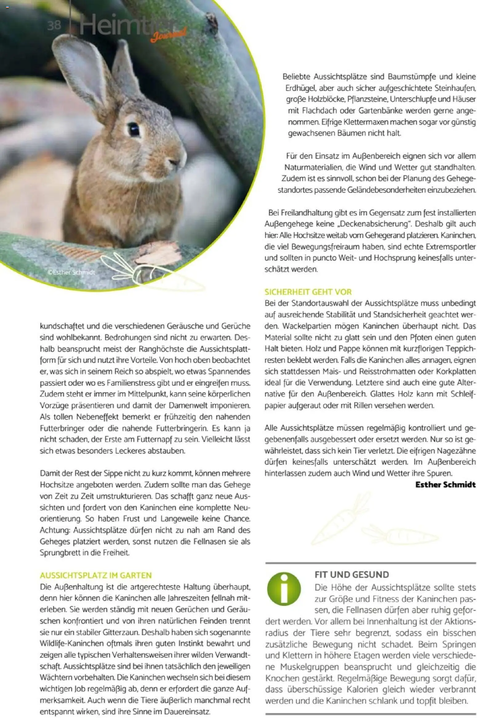 zookauf Heimtier Journal – gültig ab 01.06.2026 | Seite: 38 | Produkte: Kaninchen, Teppich