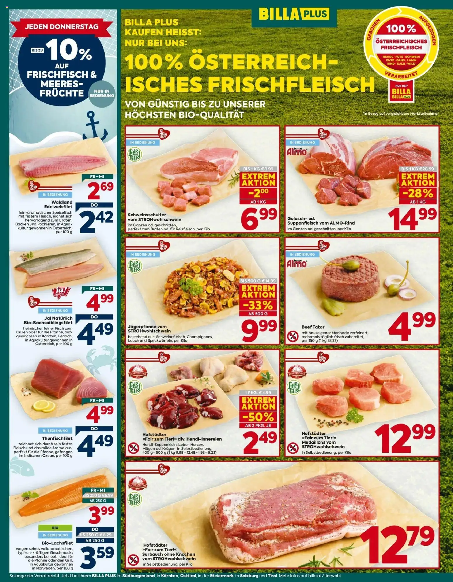 Billa Plus Flugblatt - Trofaiach-Steiermark gültig ab 15.10.2026 | Seite: 10 | Produkte: Fisch
