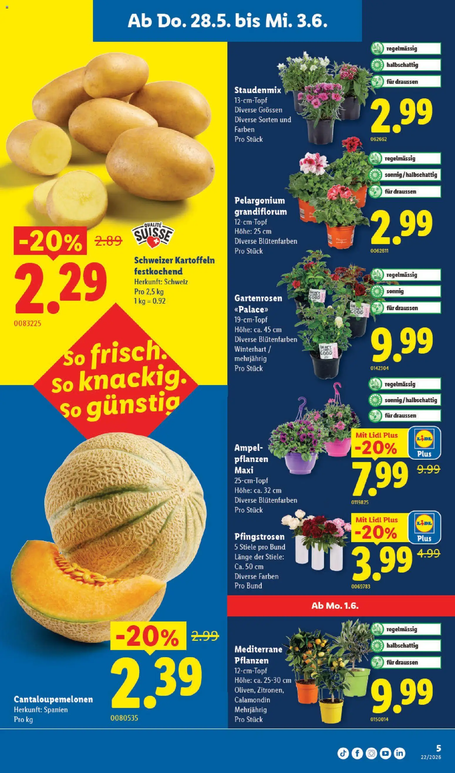 Lidl aktionen – gültig ab 28.05.2026 | Seite: 5