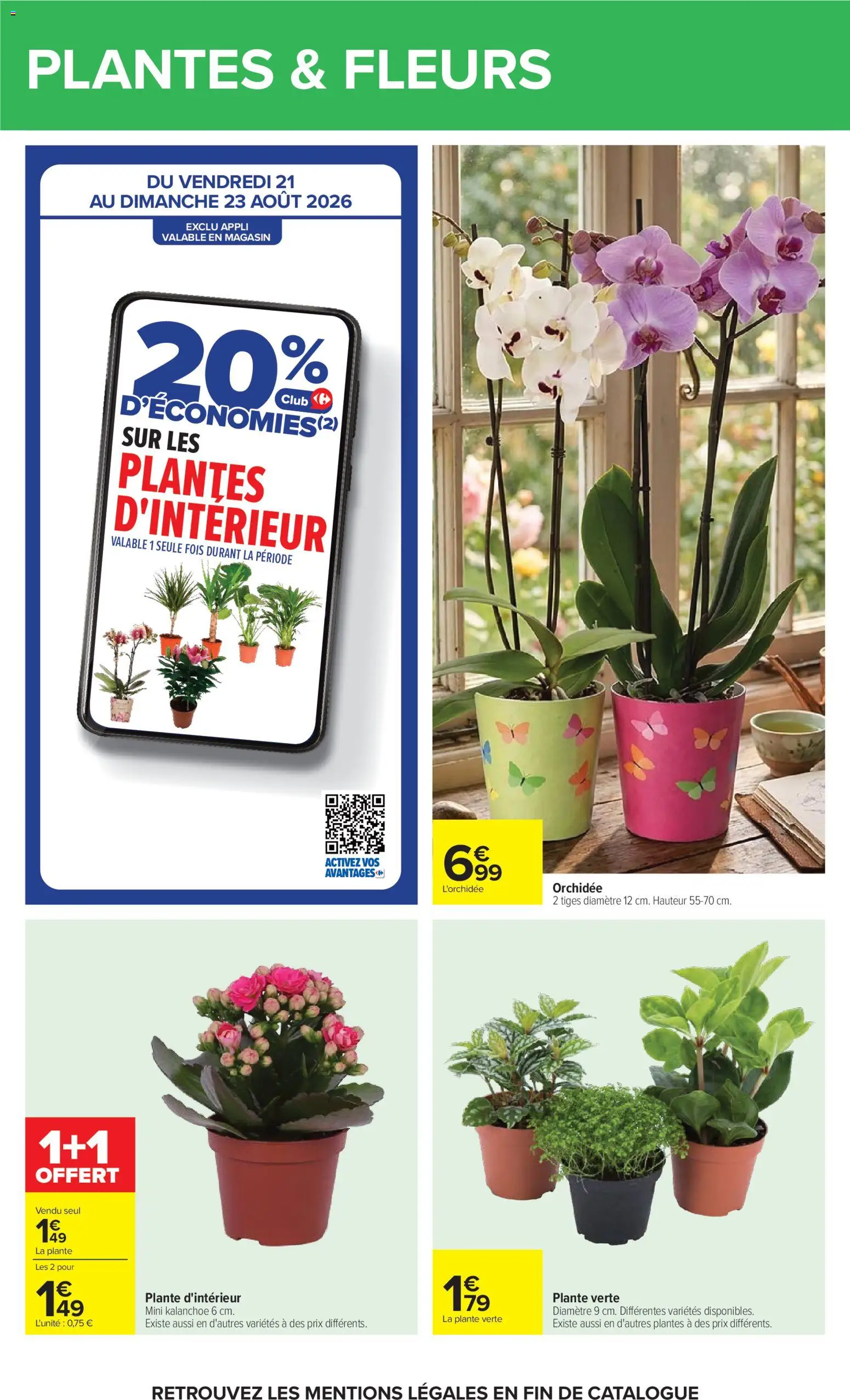 {H1} | Page: 66 | Produits: L'orchidée, Plantes, Plante verte, Kalanchoe
