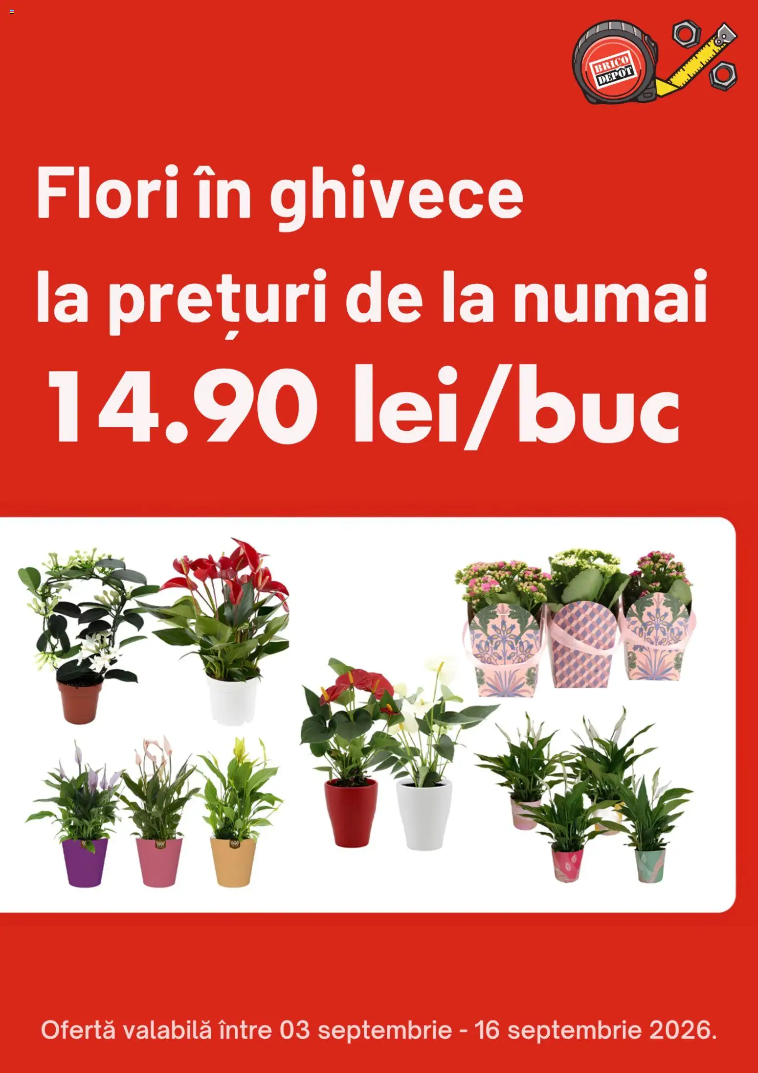 Noul catalog Brico Depot – valabil de la 03.09.2026 | Pagină: 1 | Produse: Flori