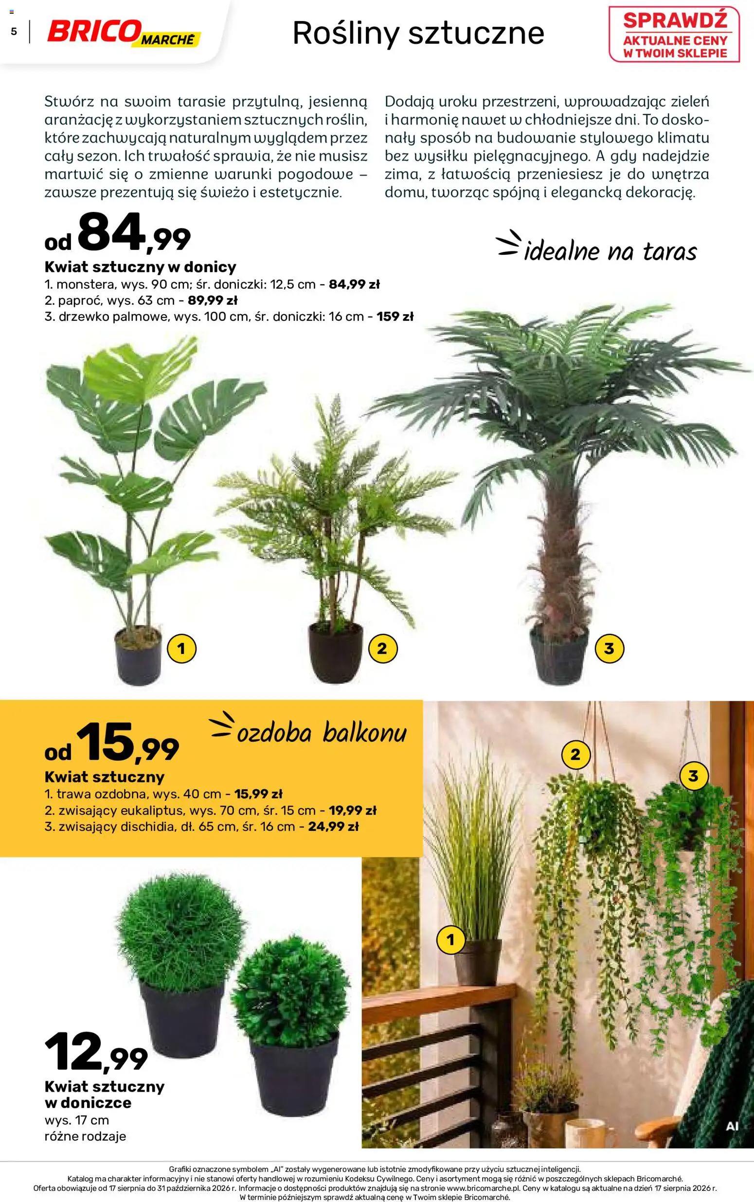 Brico Marché gazetka - Jesienne Inspiracje od 17.08.2026 | Strona: 5 | Produkty: Rosliny, Doniczki