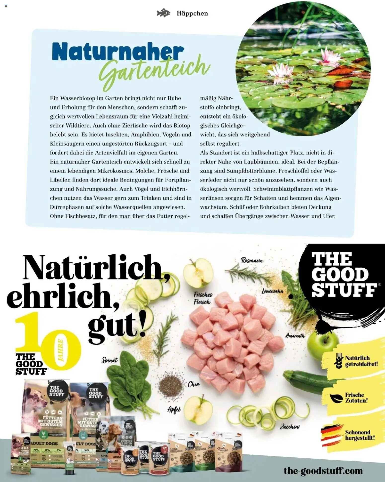 Die besten Angebote | Fressnapf Friends 07,08/26 ab 01.07.2026 | - Jetzt stöbern! | Österreich