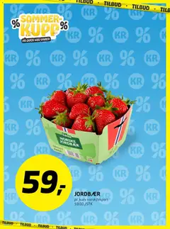 Forhåndsvisning av Bunnpris kundeavis gyldig fra 22/06/2026 | Side: 13 | Produkter: Jordbær, Kurv