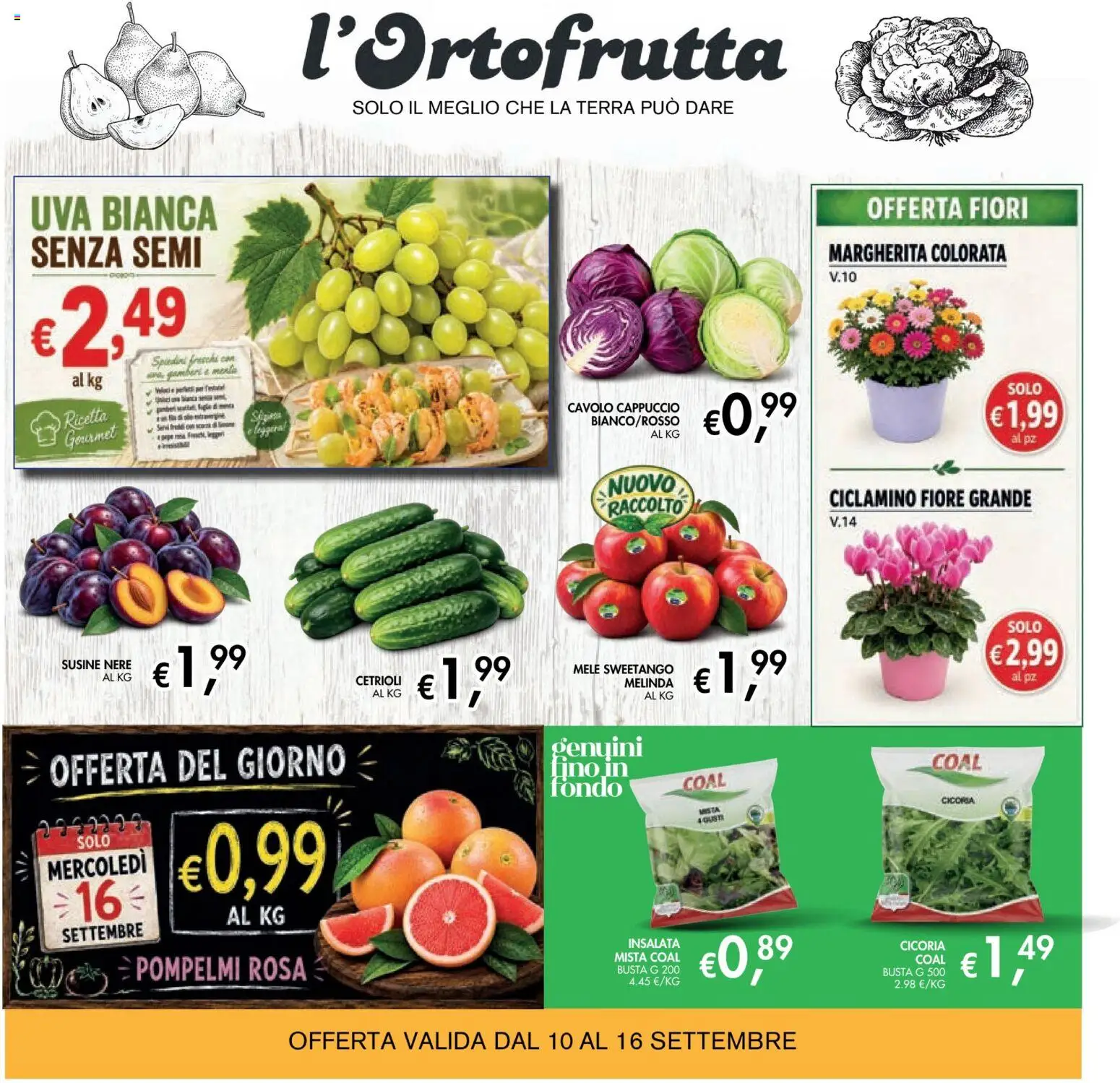 Volantino Coal del 10/09/2026 | Pagina: 6 | Prodotti: Cetrioli, Cavolo, Uva, Susine