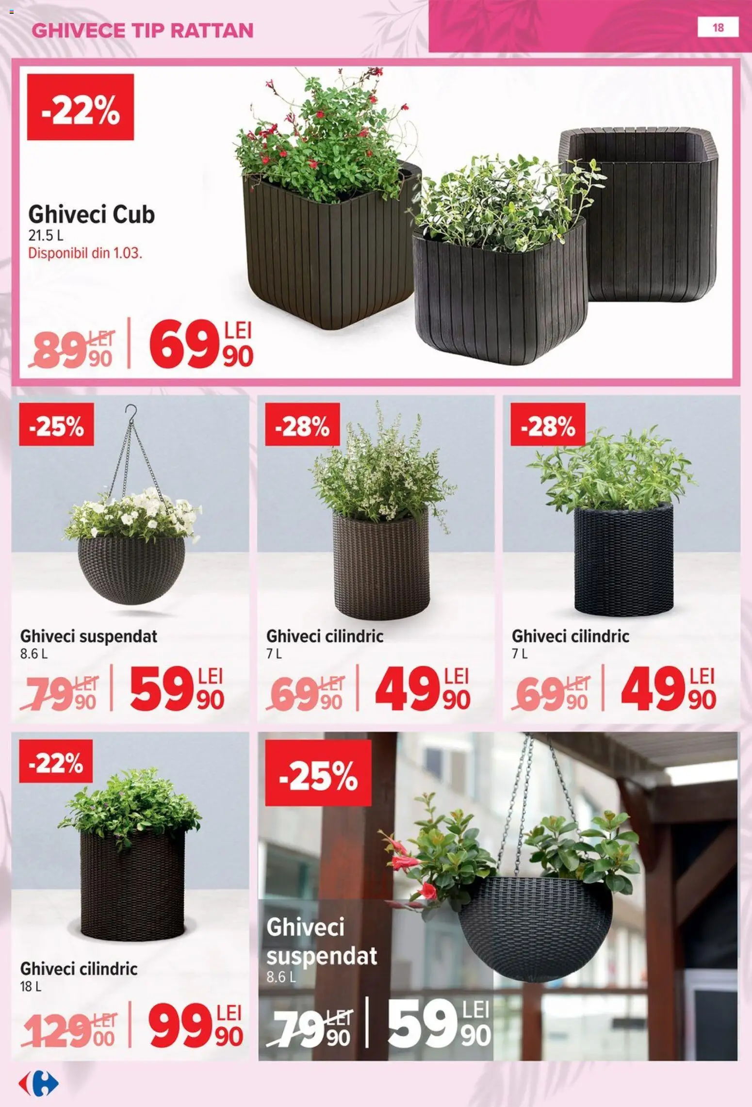Noul catalog Carrefour – valabil de la 11.02.2026 | Pagină: 18 | Produse: Ghiveci, Tip