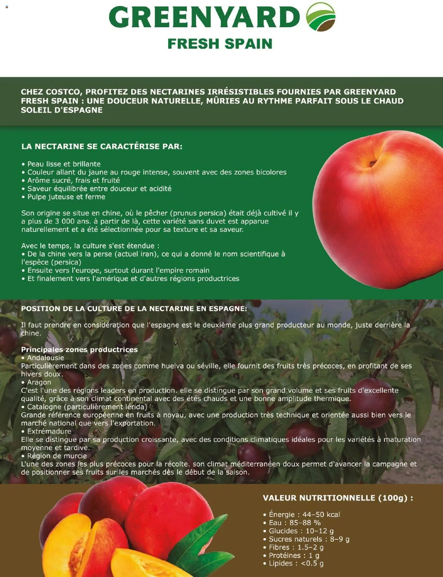 {H1} | Page: 108 | Produits: Nectarine