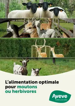 Aveve Guide petits ruminants - Voorbeeld van een folder van Aveve, geldig van 09/02/2026