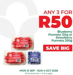 Food Lover's Market specials catalogue – valid from 21/09/2026 | Page: 3 | Products: Blueberries, Strawberries