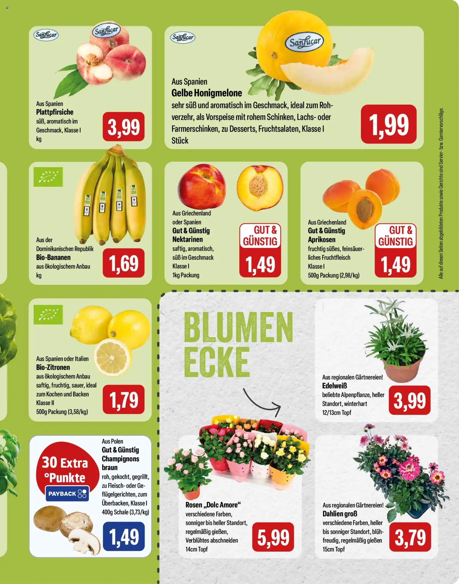 Feneberg Angebote – gültig ab 16.07.2026 | Seite: 9