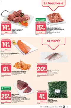 Promocash - Prévisualisation de Promocash catalogue valide à partir de 12.05.2026 | Page: 5 | Produits: Daurade, Crevettes, Thon, Saumon